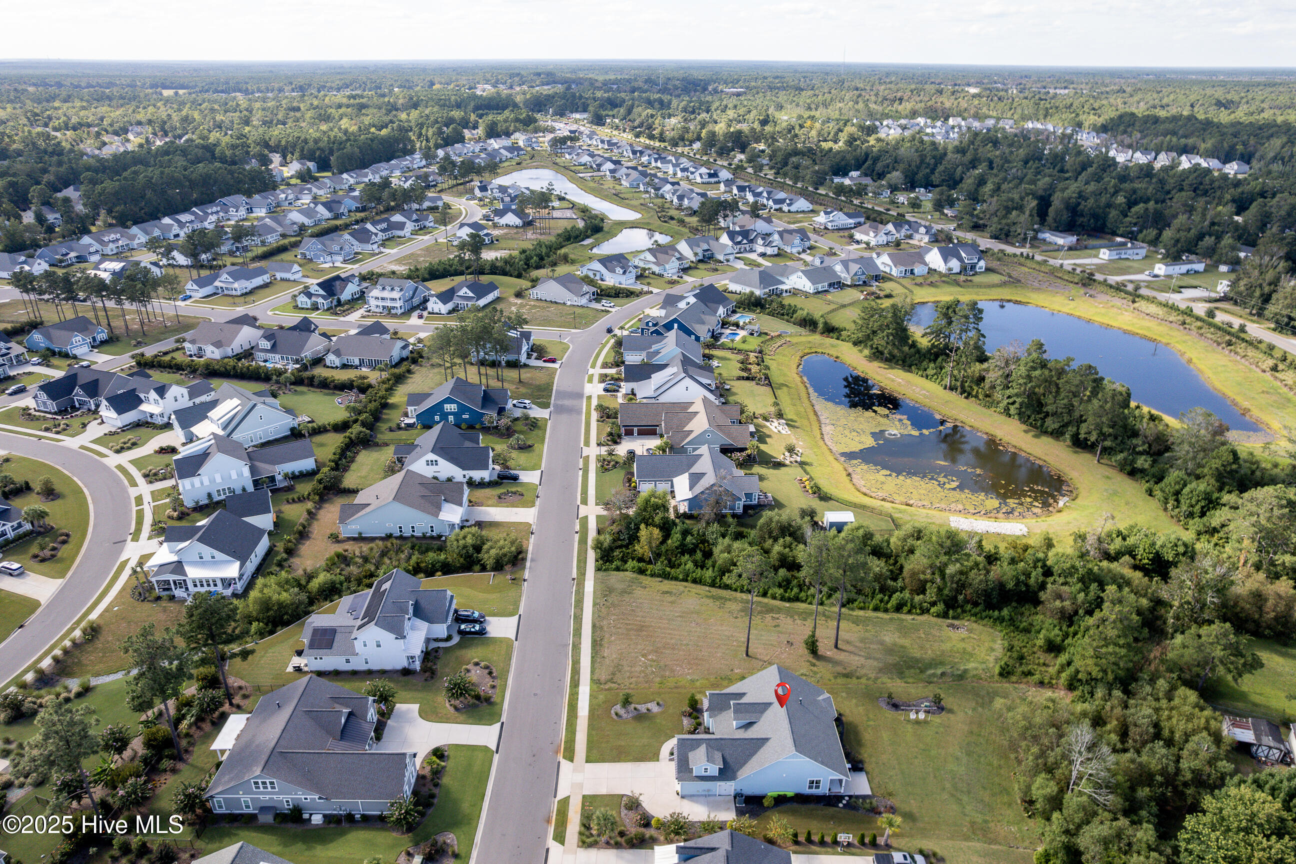 100536190 | Photo 49