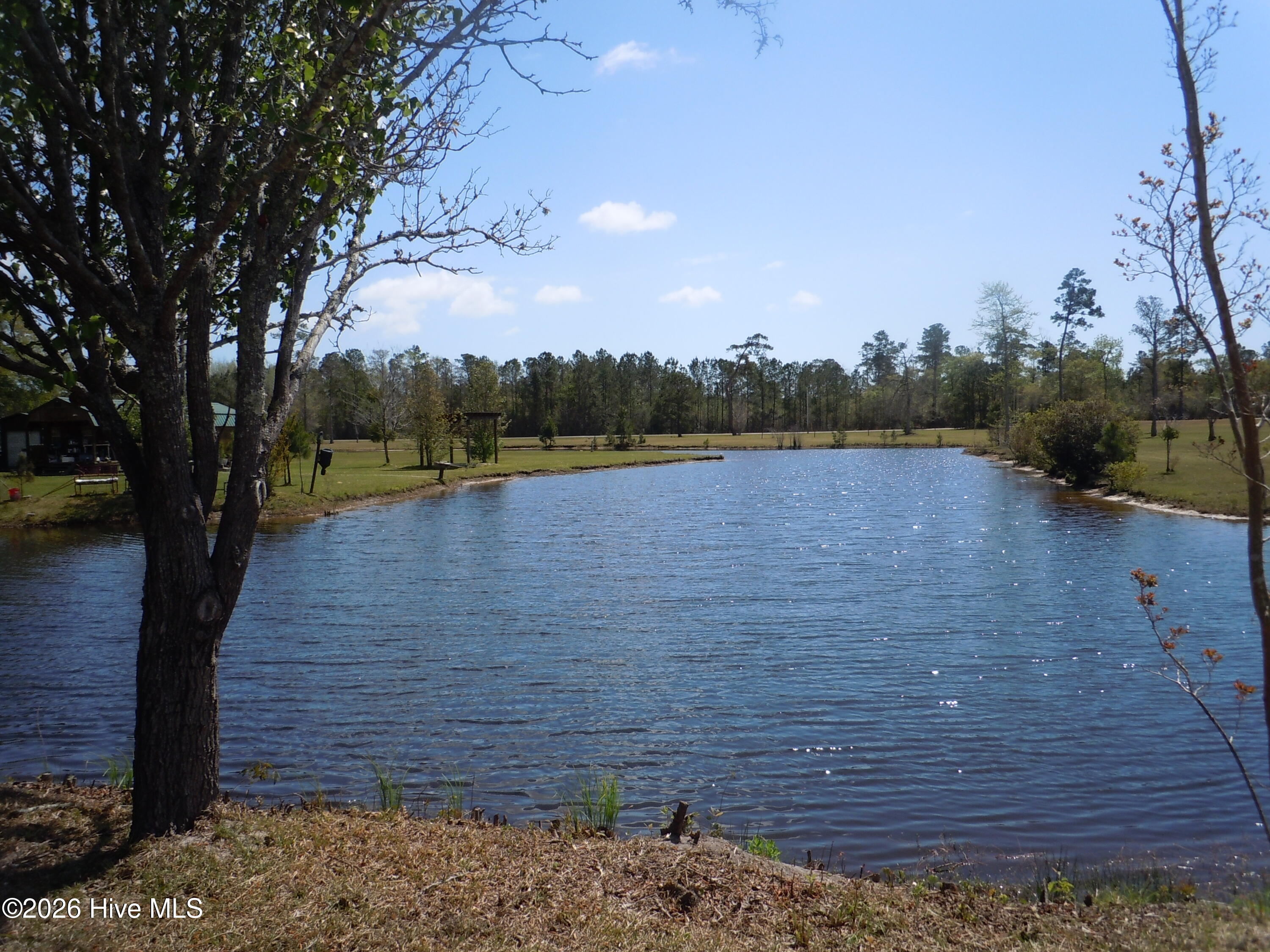 100563948 | Photo 11