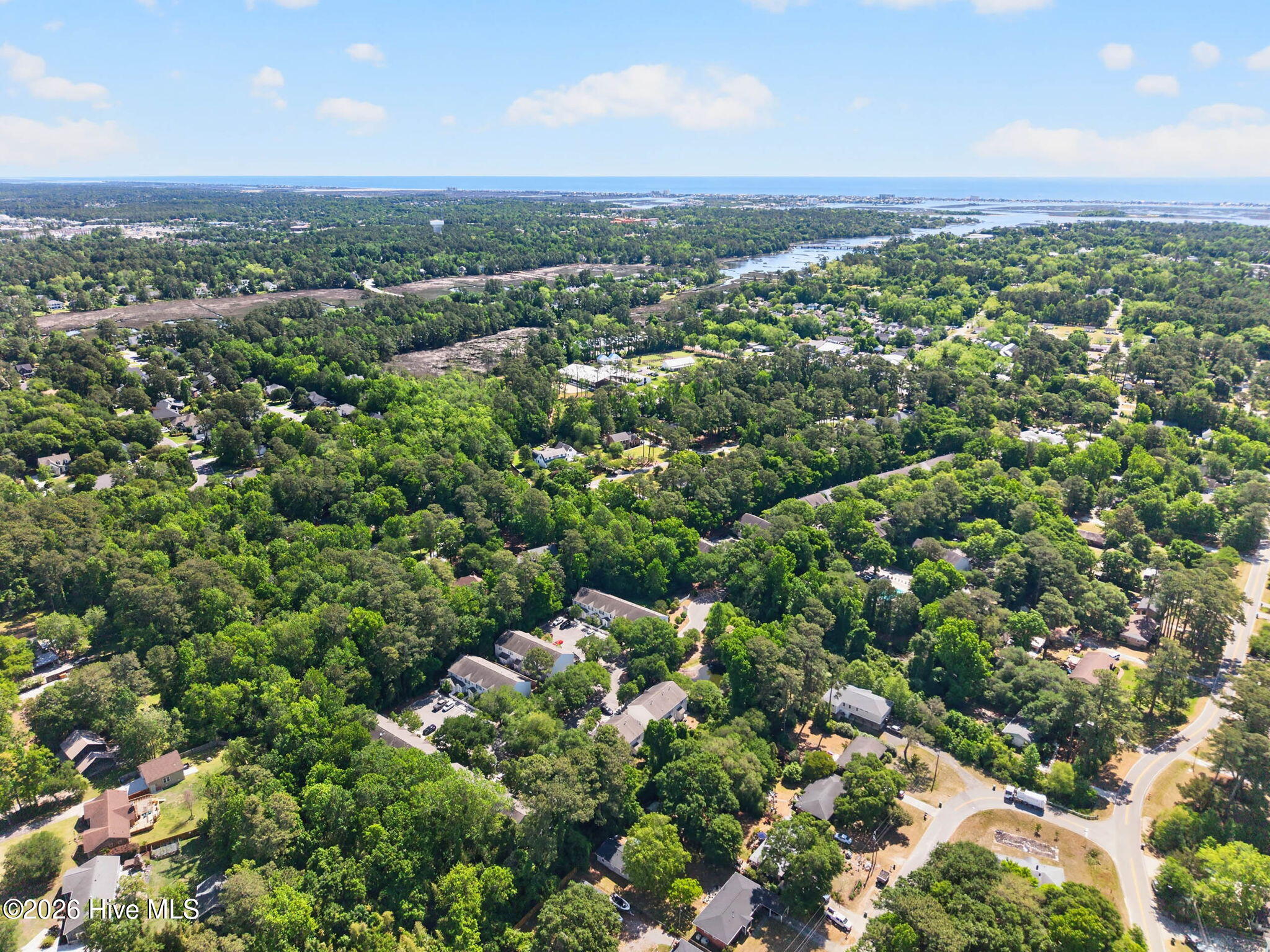 100570358 | Photo 47