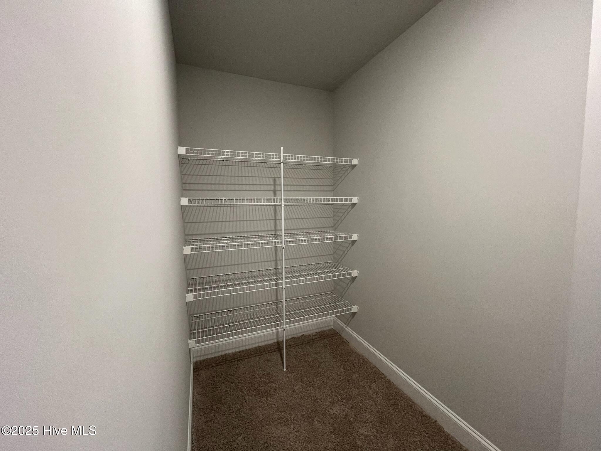 100420321 | Photo 28