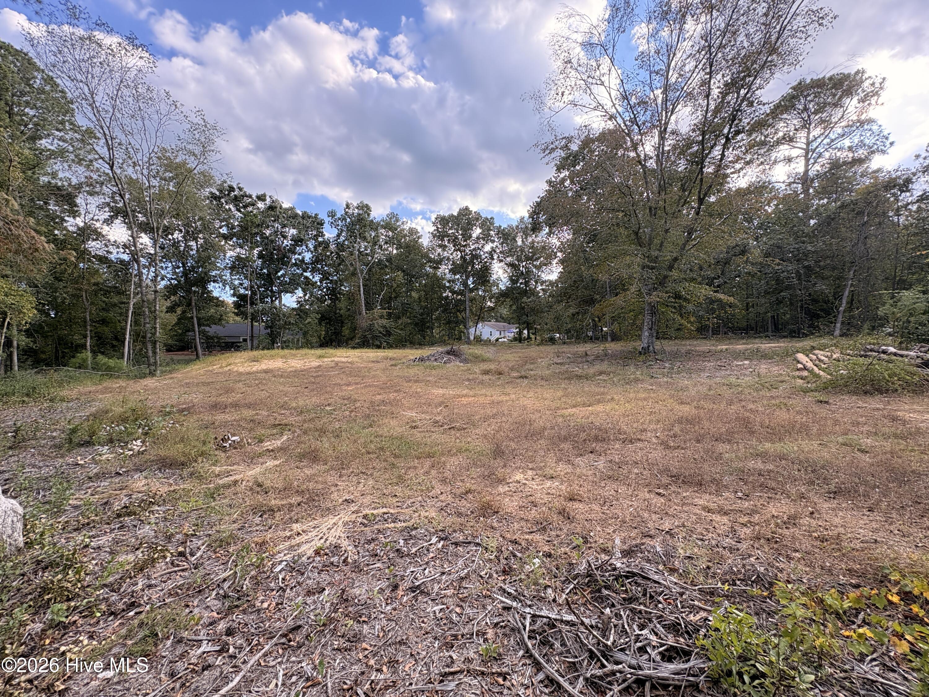 Photo 4 of Land for sale at 209 Oak Dr, Elizabethtown, NC 28337 | MLS# 100608032 | Listing updated on 2026-10-07