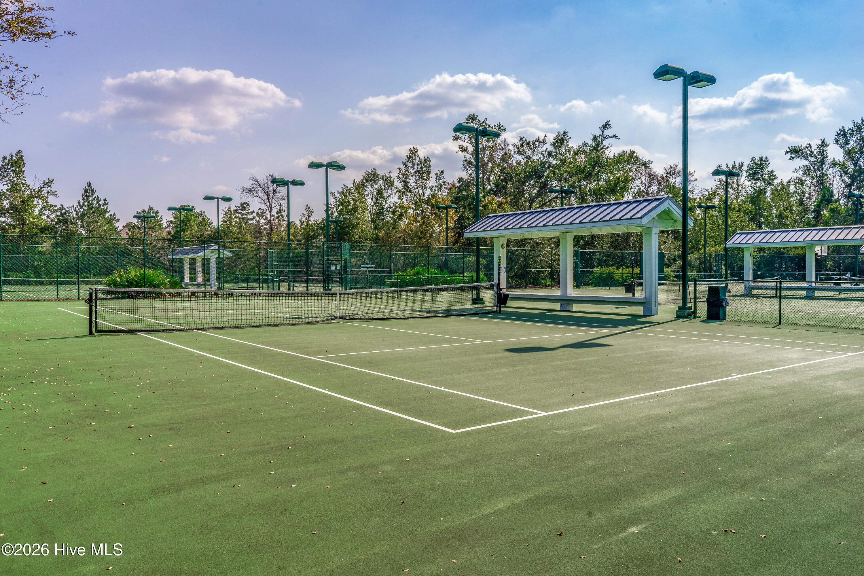 100564215 | Photo 95