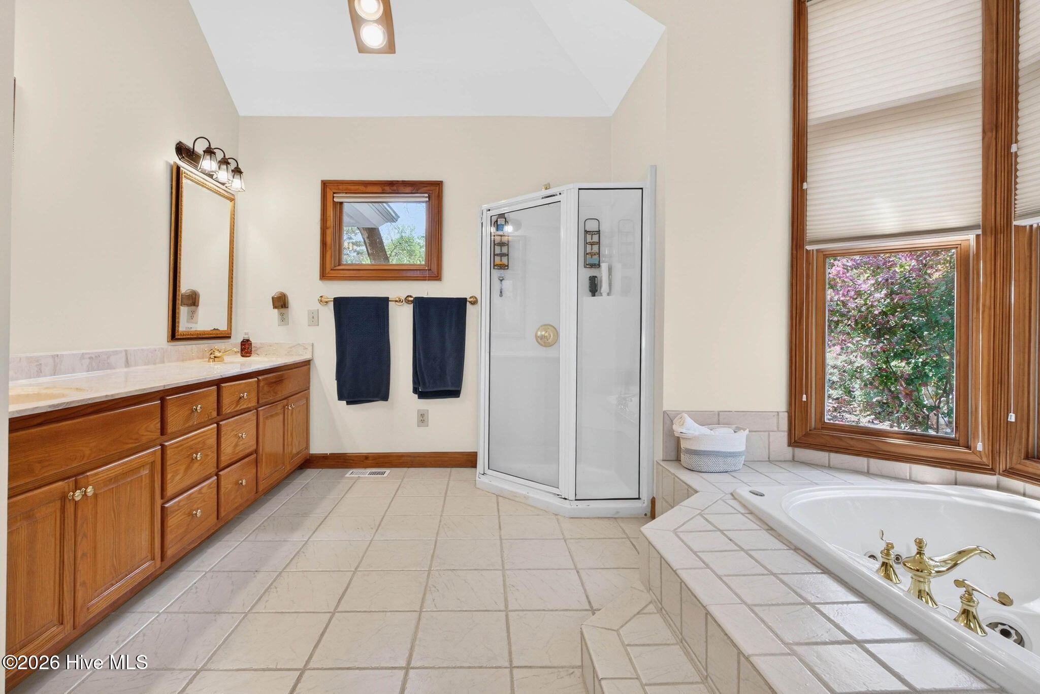 100564885 | Photo 39