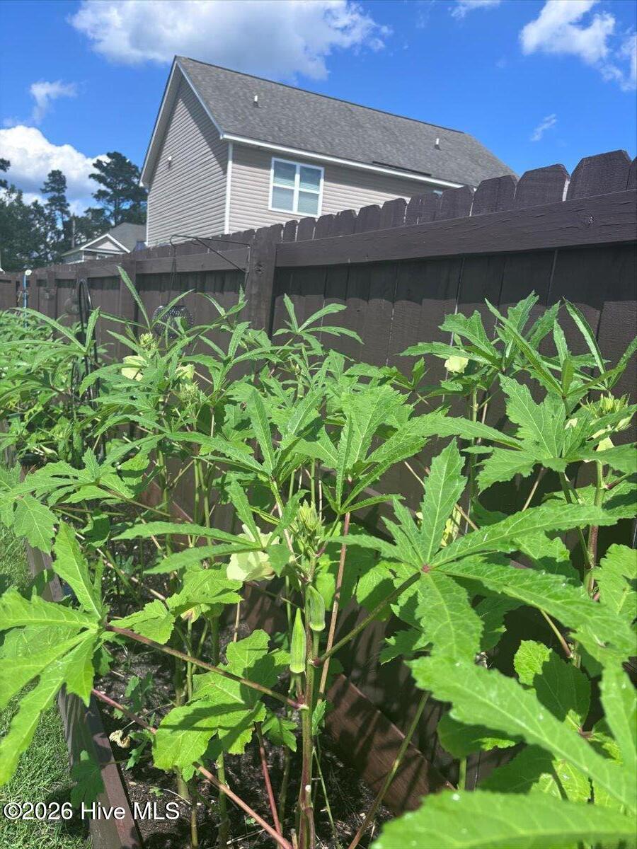 100558956 | Photo 58