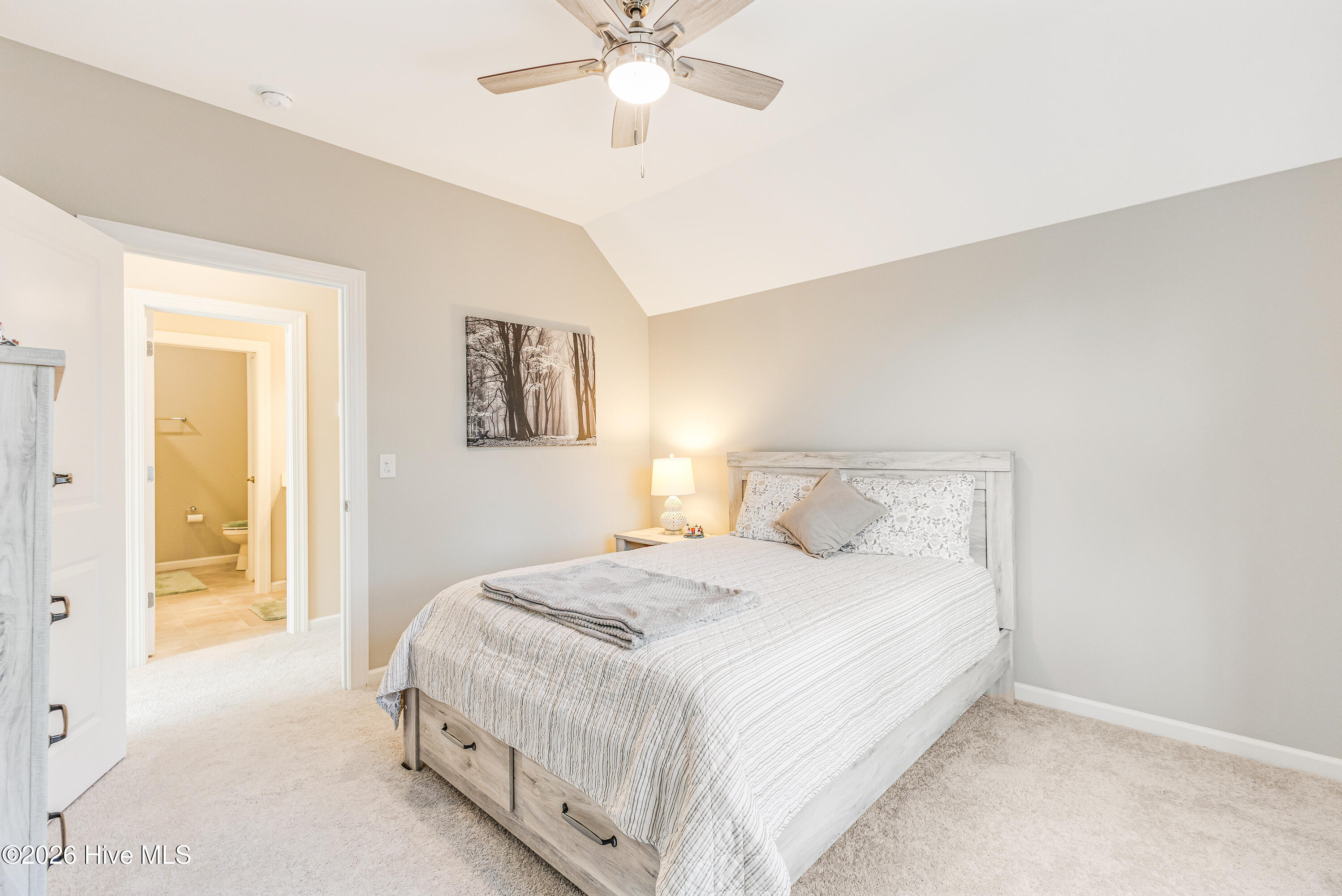 100561290 | Photo 36