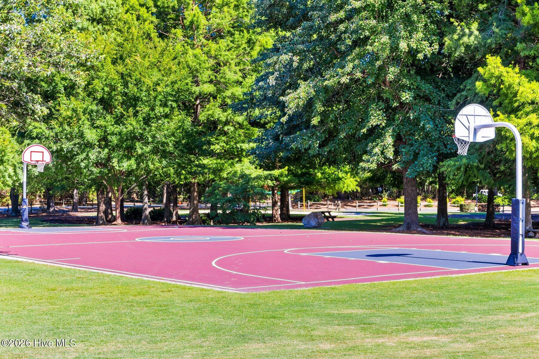 100558657 | Photo 71