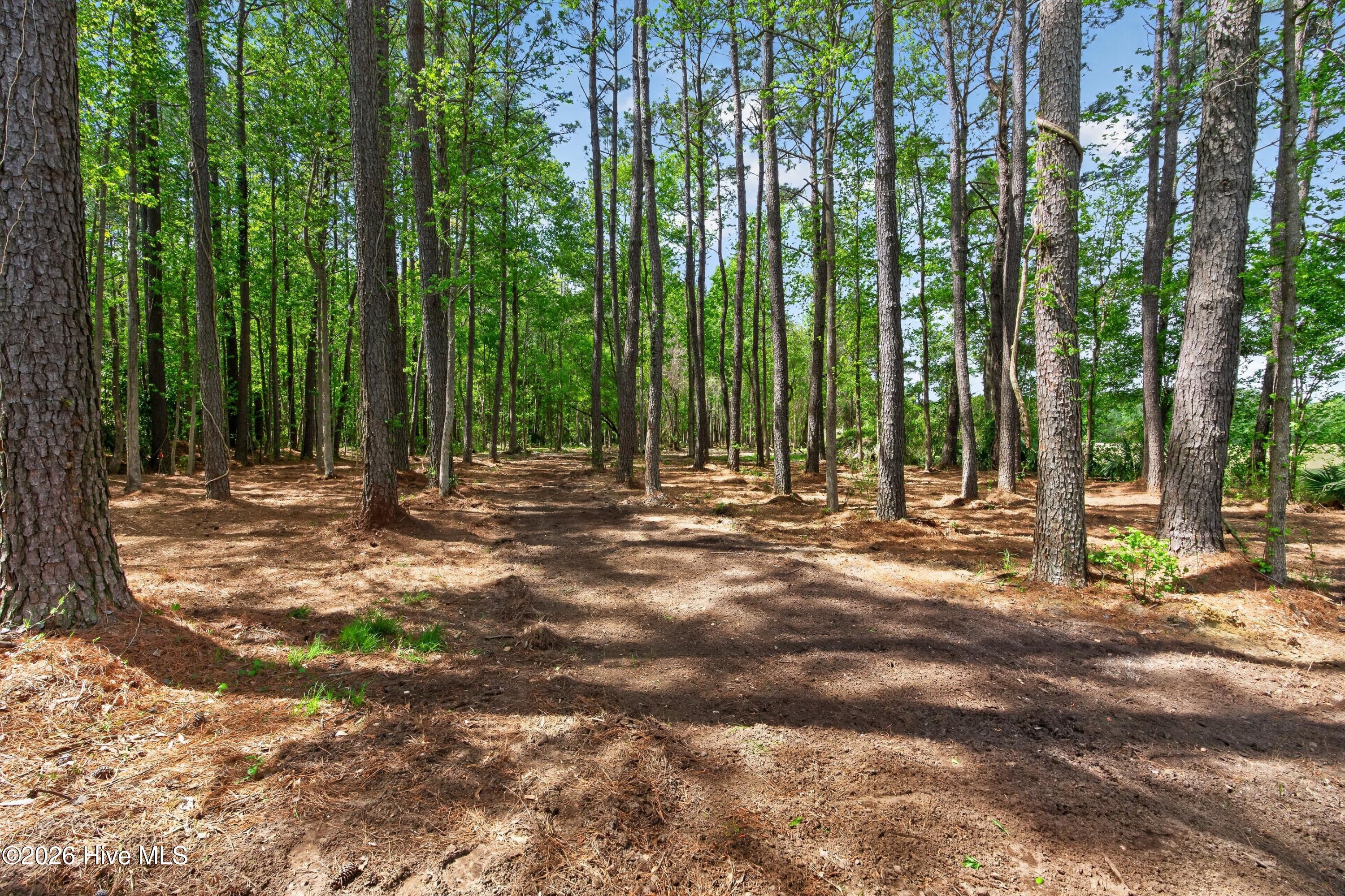 100567047 | Photo 43