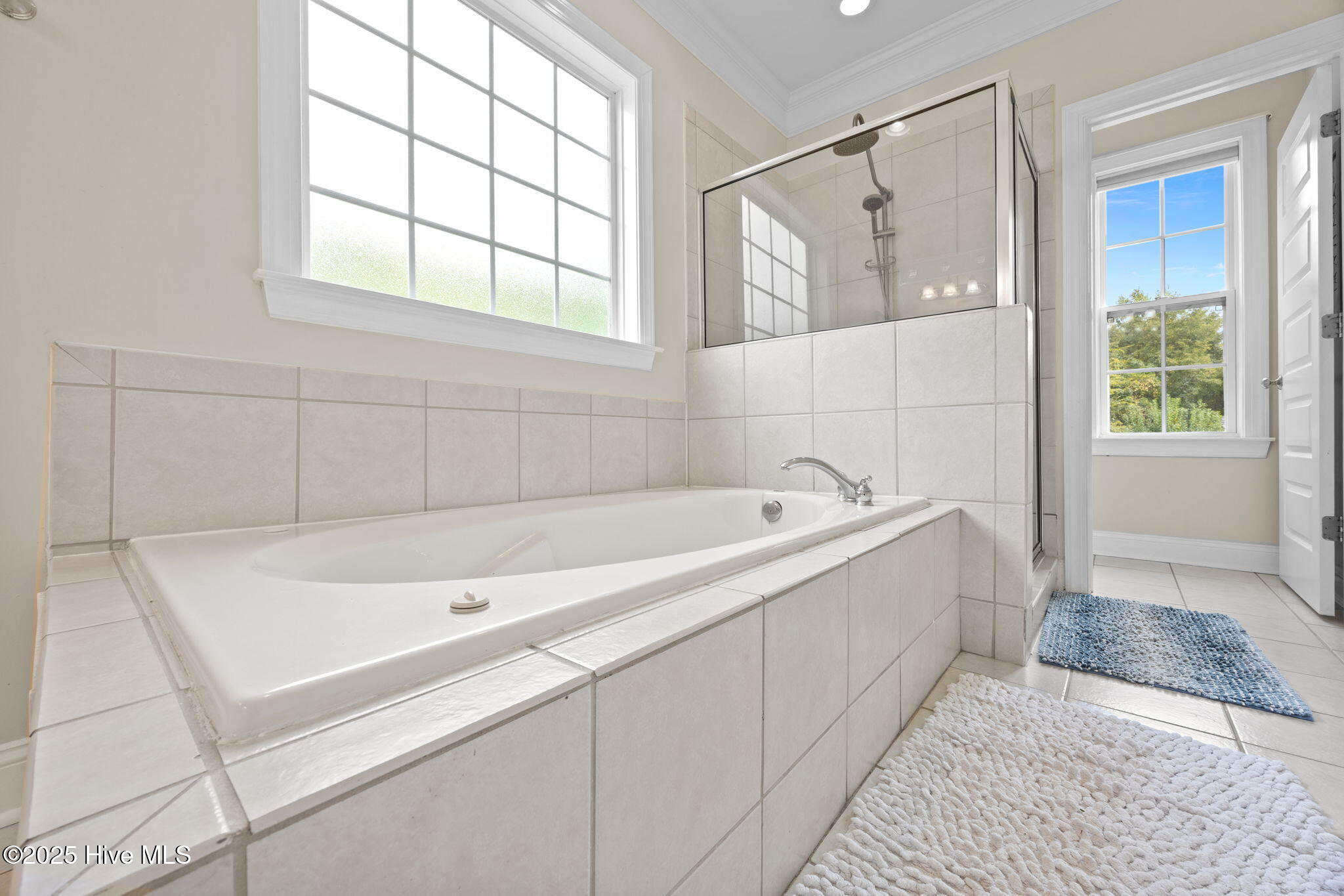 100530646 | Photo 27