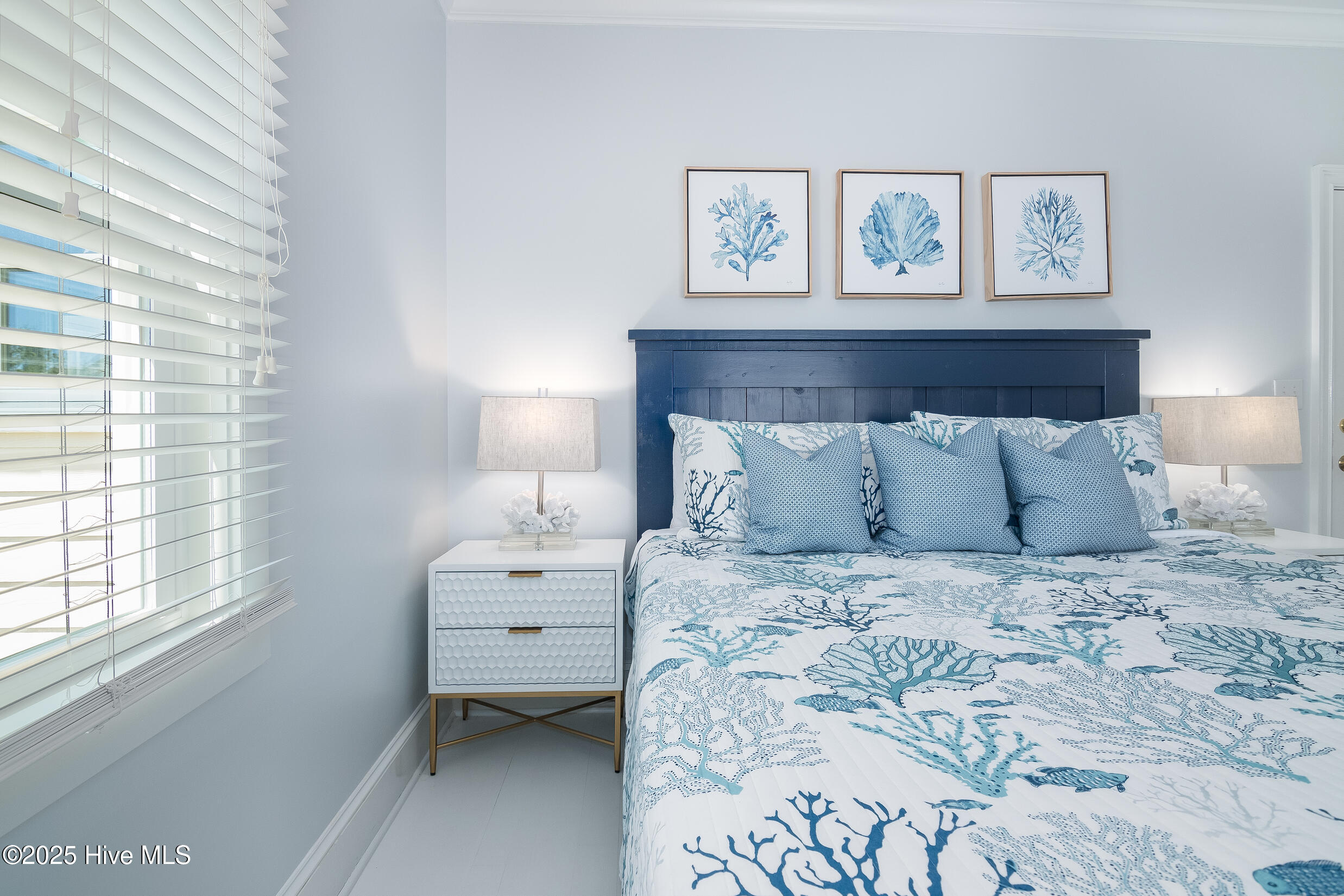 100509749 | Photo 27