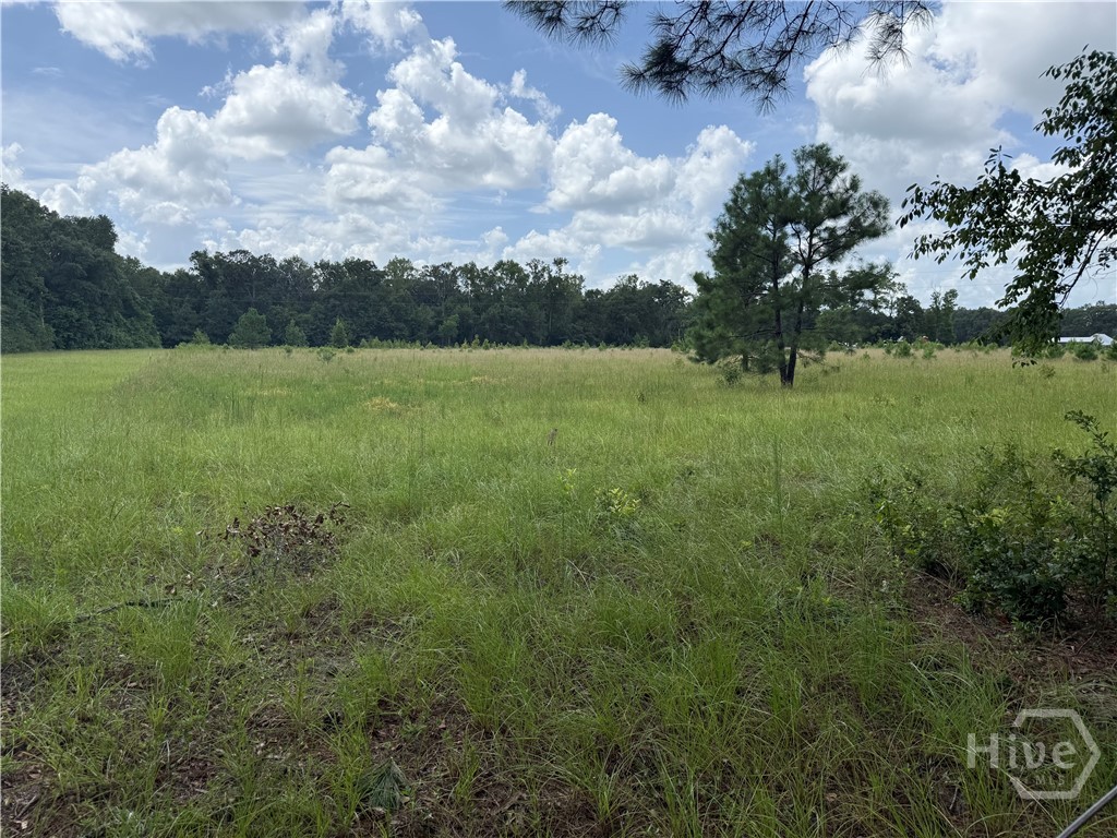 3rd image of 00 Toni Branch Rd, Ellabell, GA 31308 | MLS# SA362340