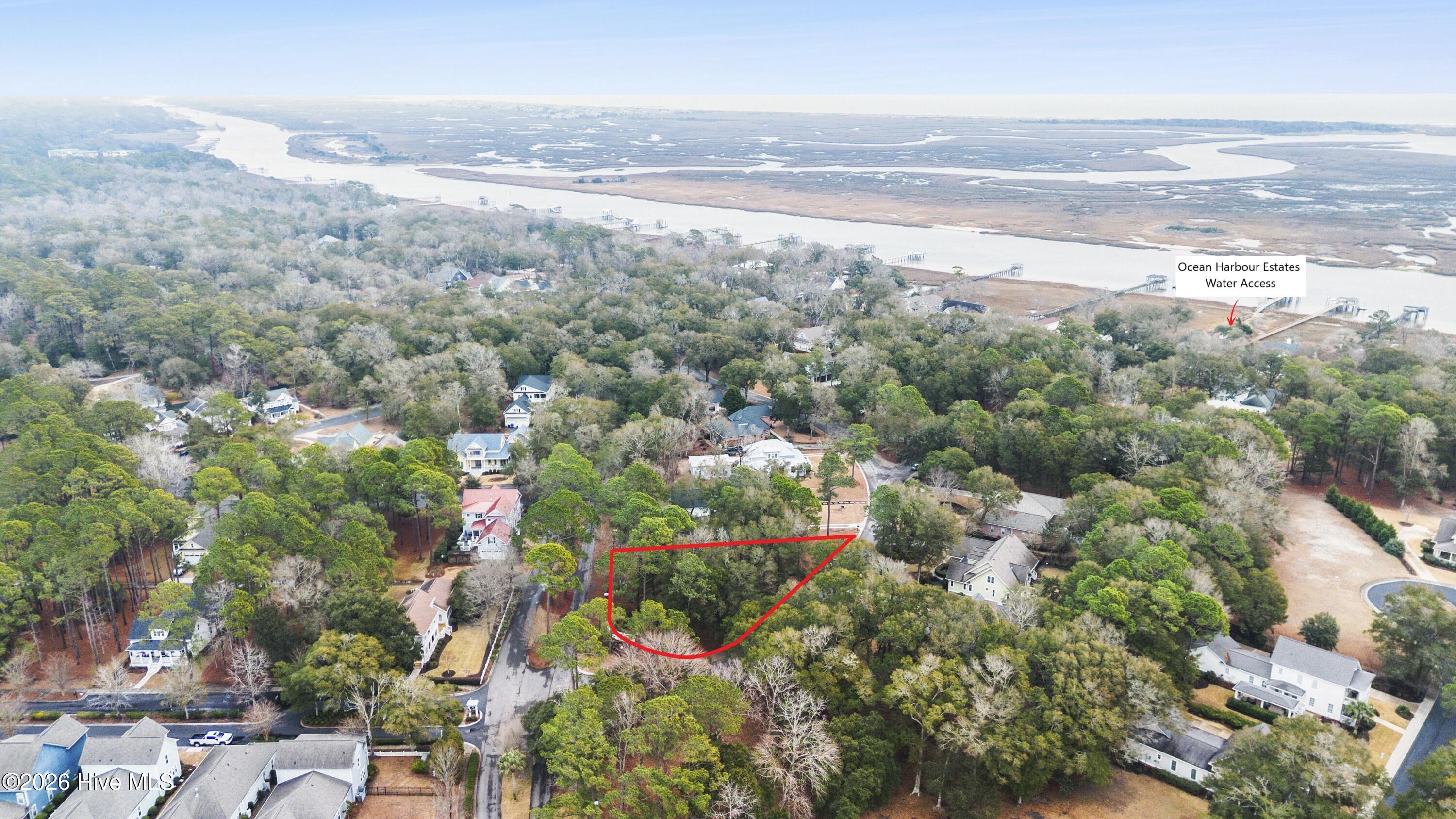 100553225 | Photo 11