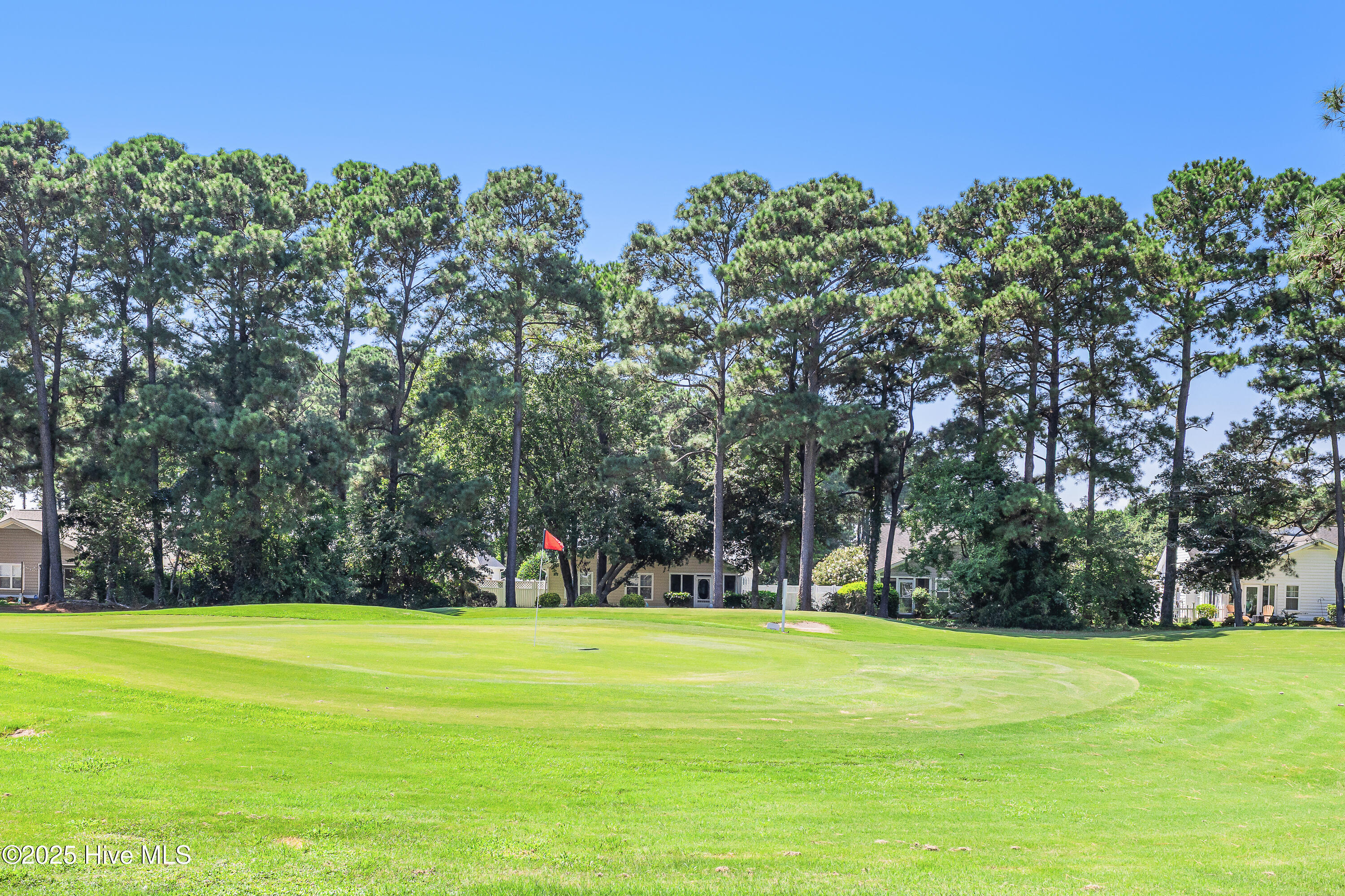 100525236 | Photo 35