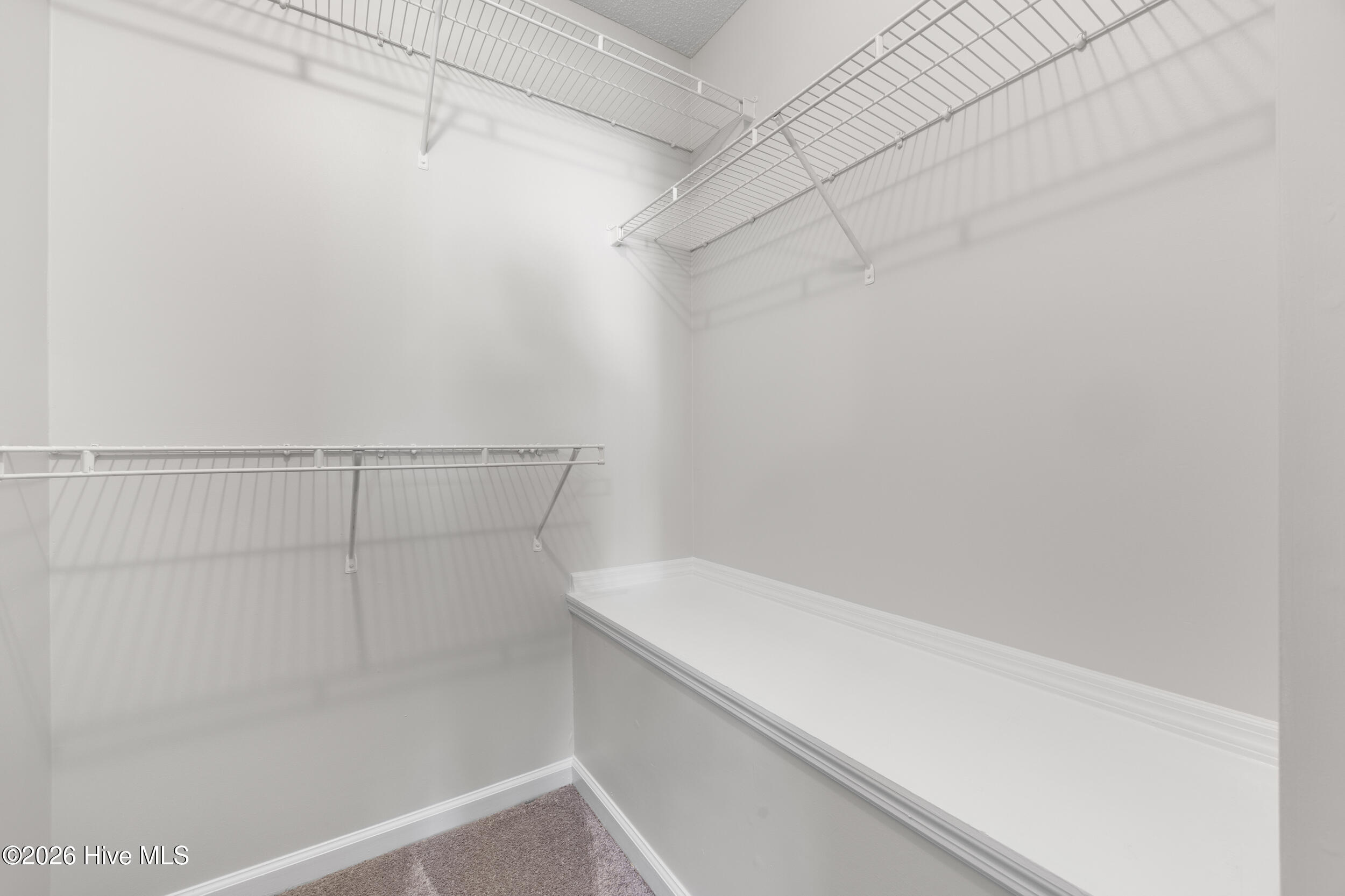 100561186 | Photo 21