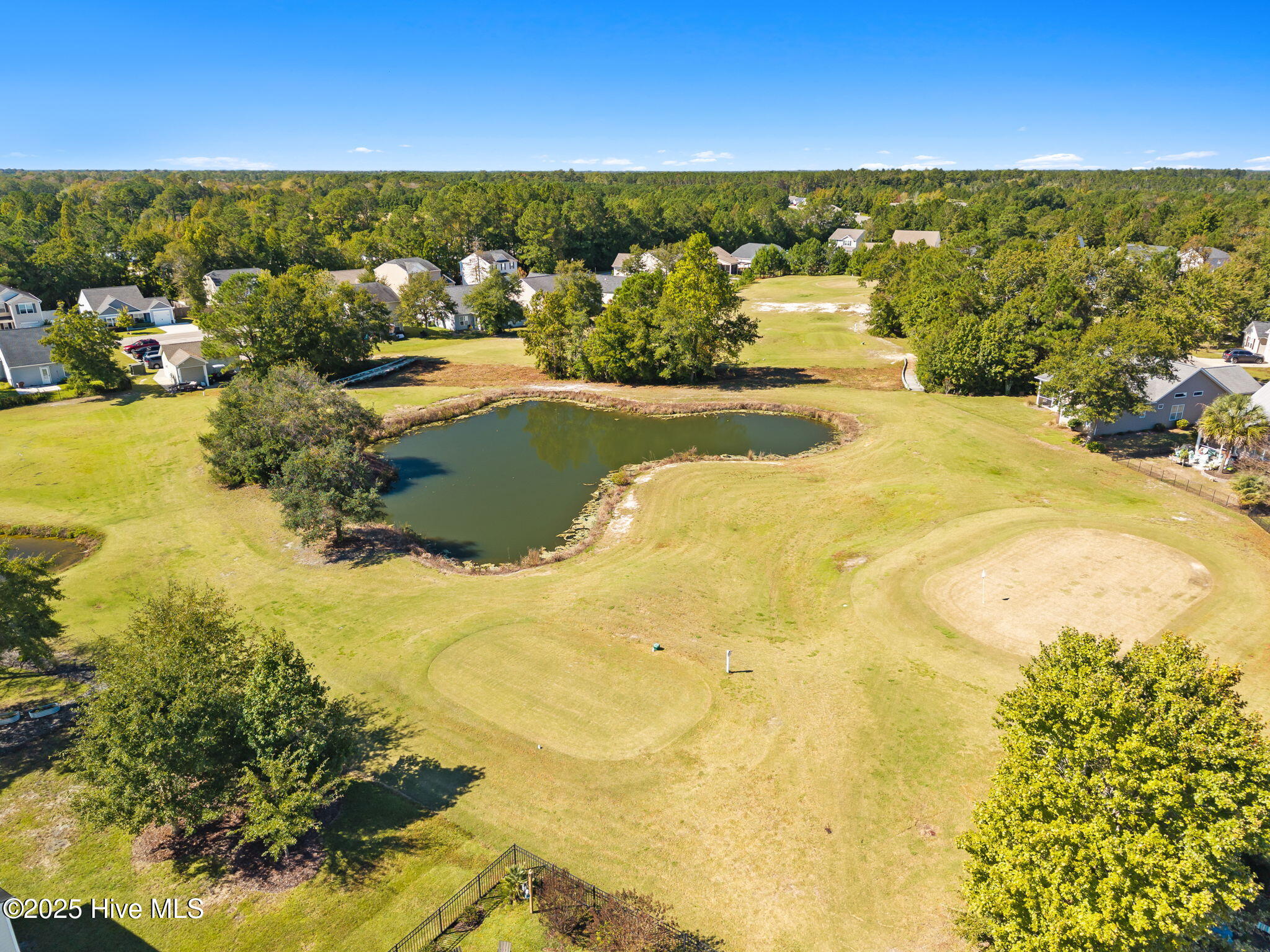 100536893 | Photo 48