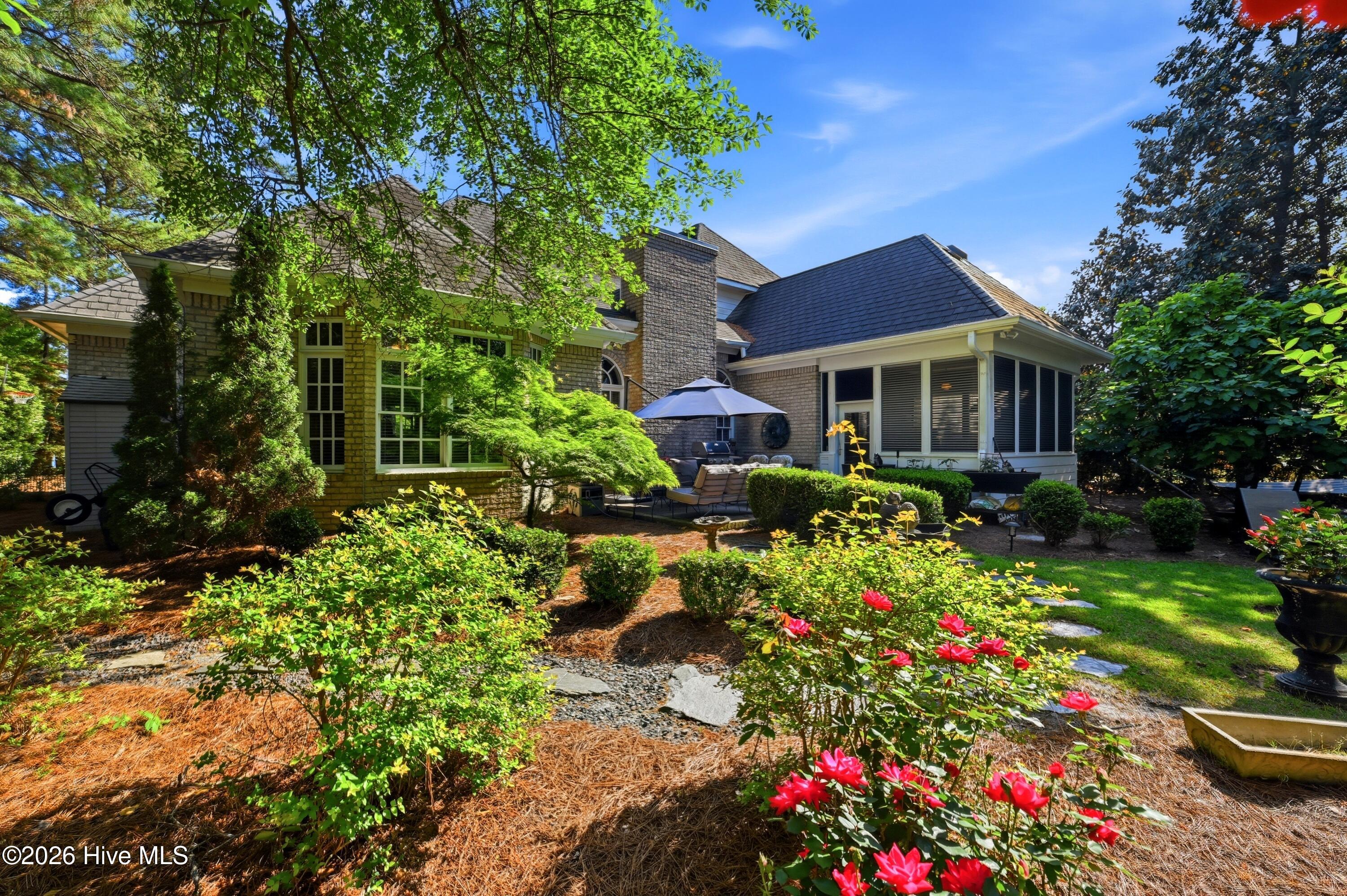 100567999 | Photo 47