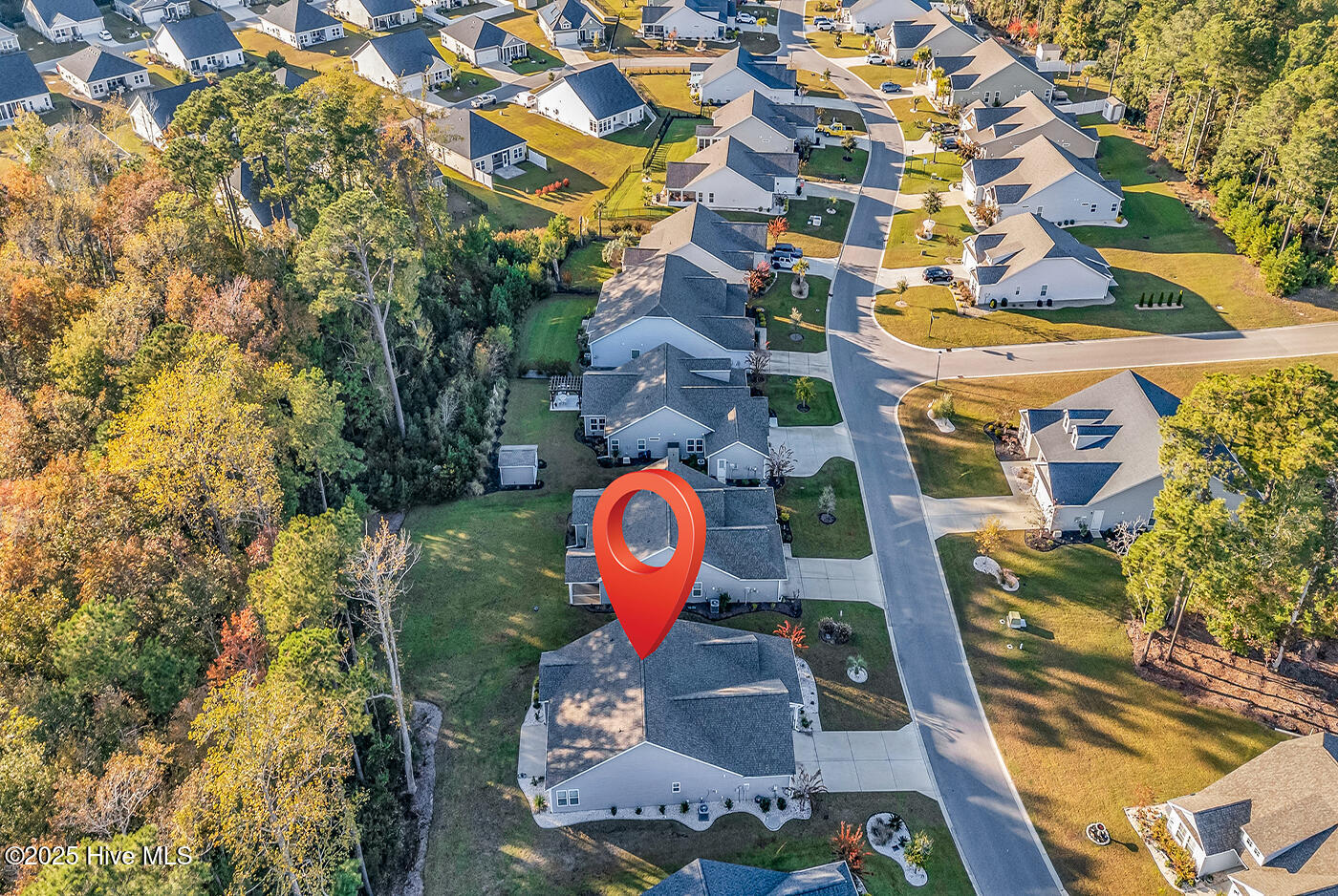 100539654 | Photo 61