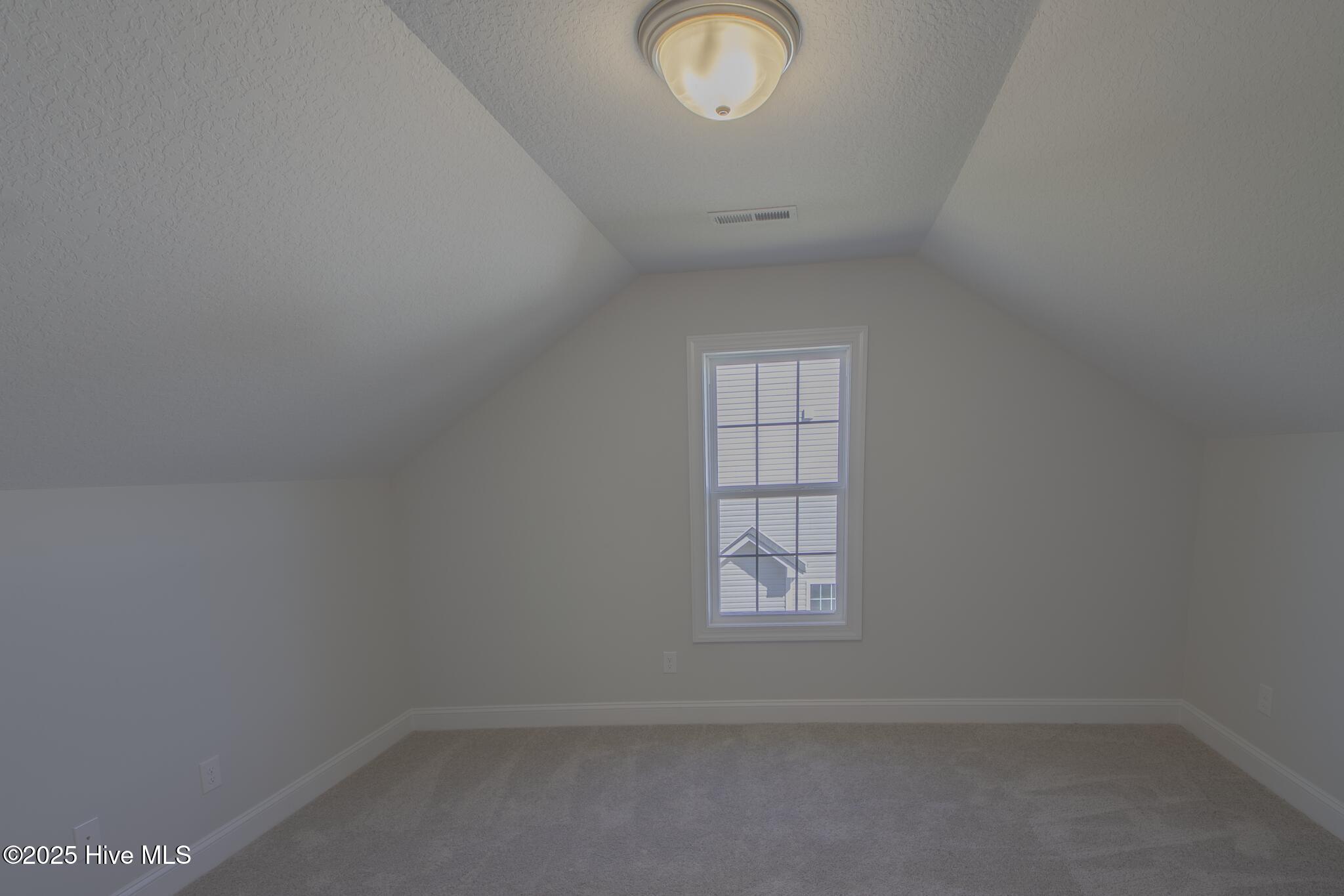 100502962 | Photo 21