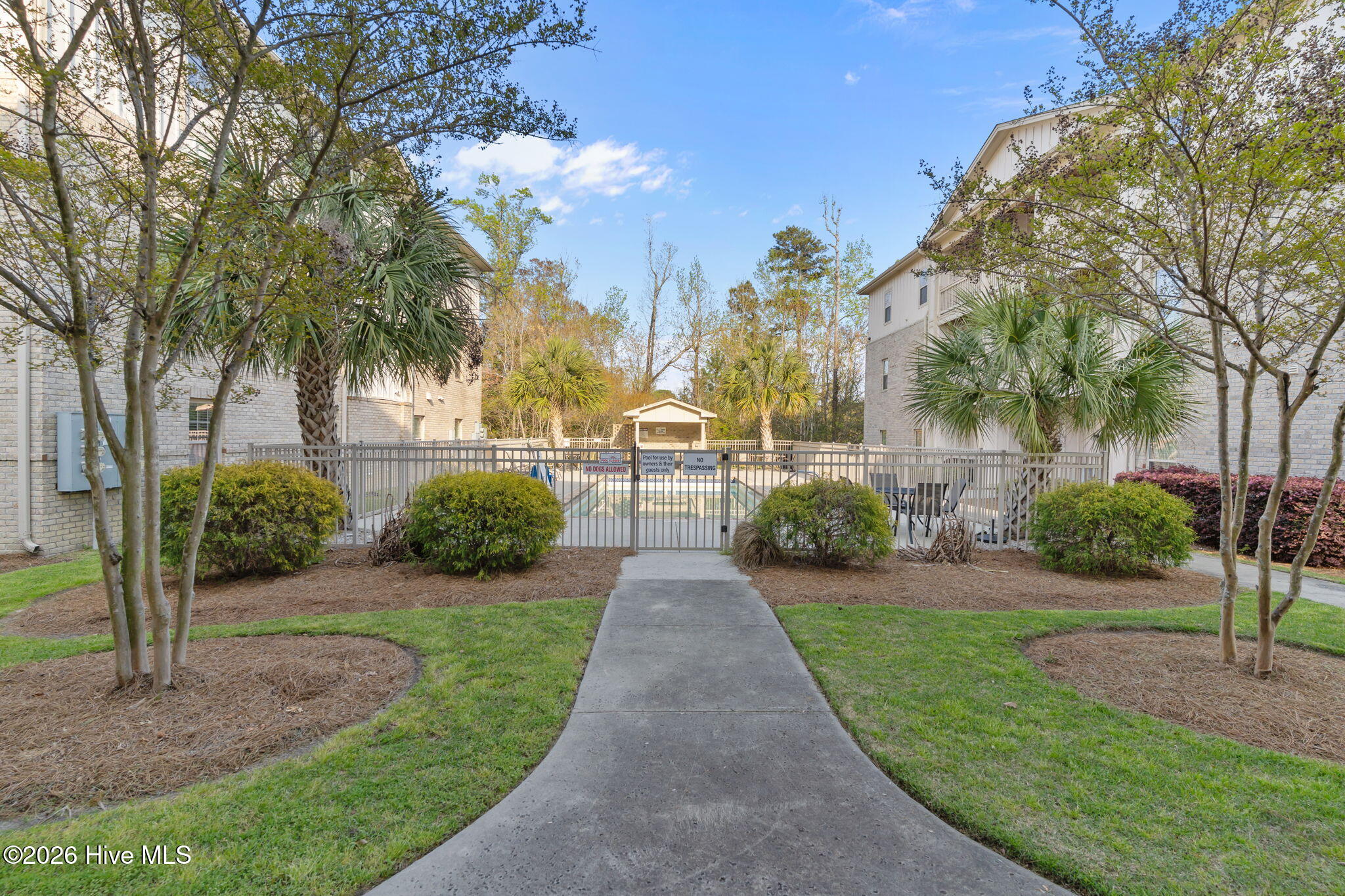 100562756 | Photo 41