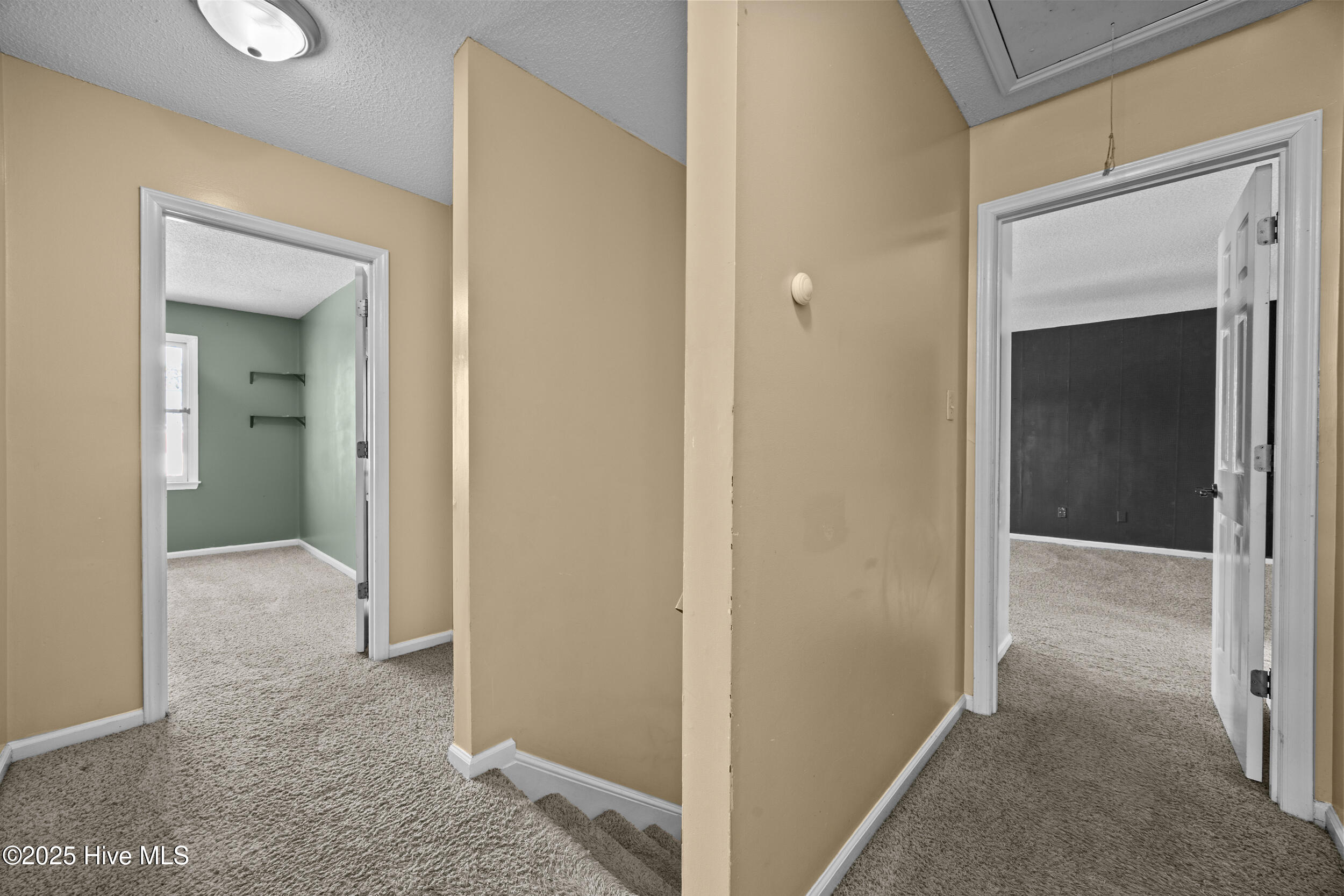 100545439 | Photo 18