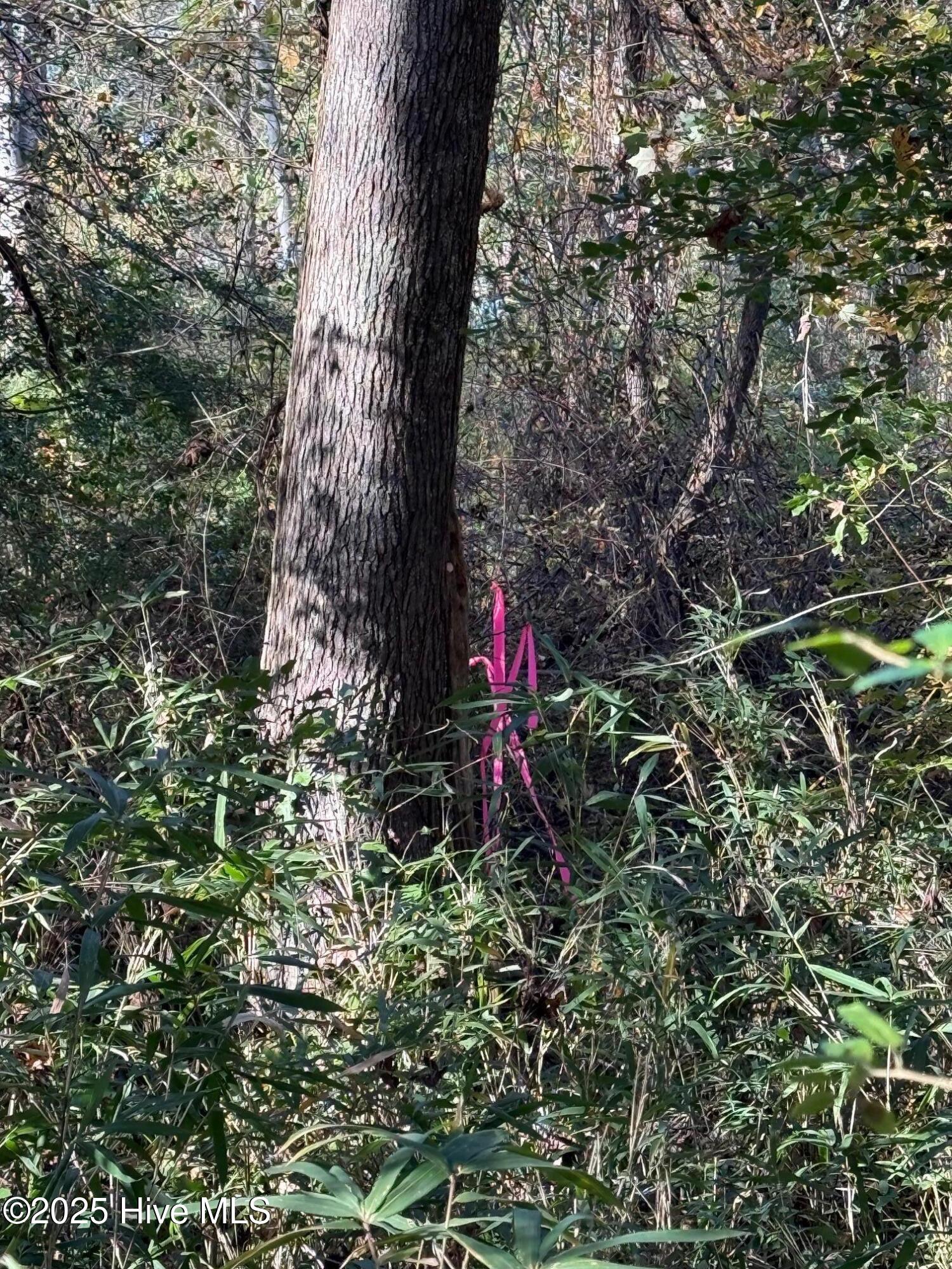 Homes for sale in Kinston, NC | Lot 1 Alton Phillips Rd, Kinston, NC 28504 | MLS# 100541444