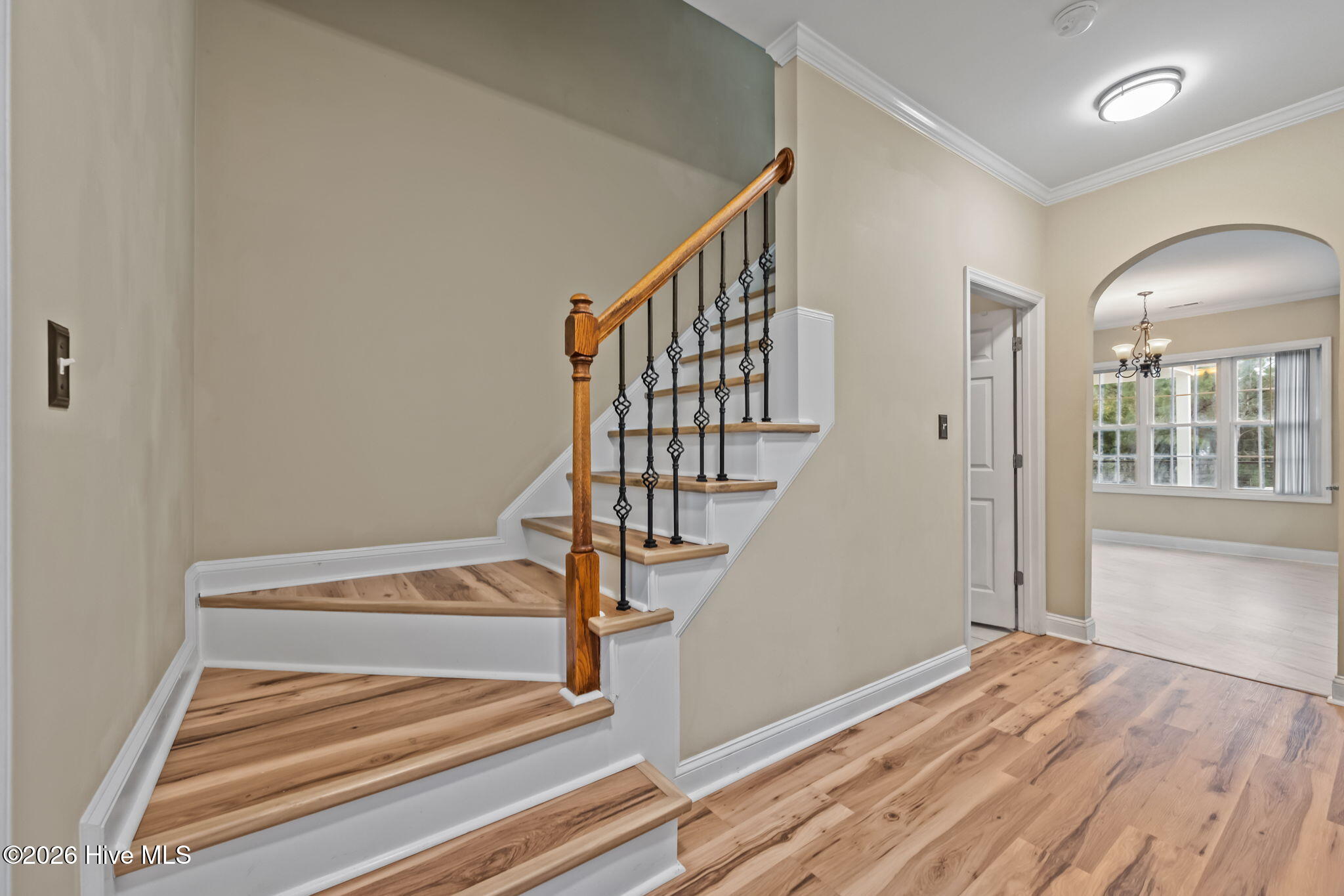 100562473 | Photo 17