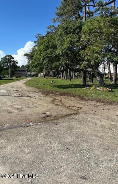 100516036 | Photo 12