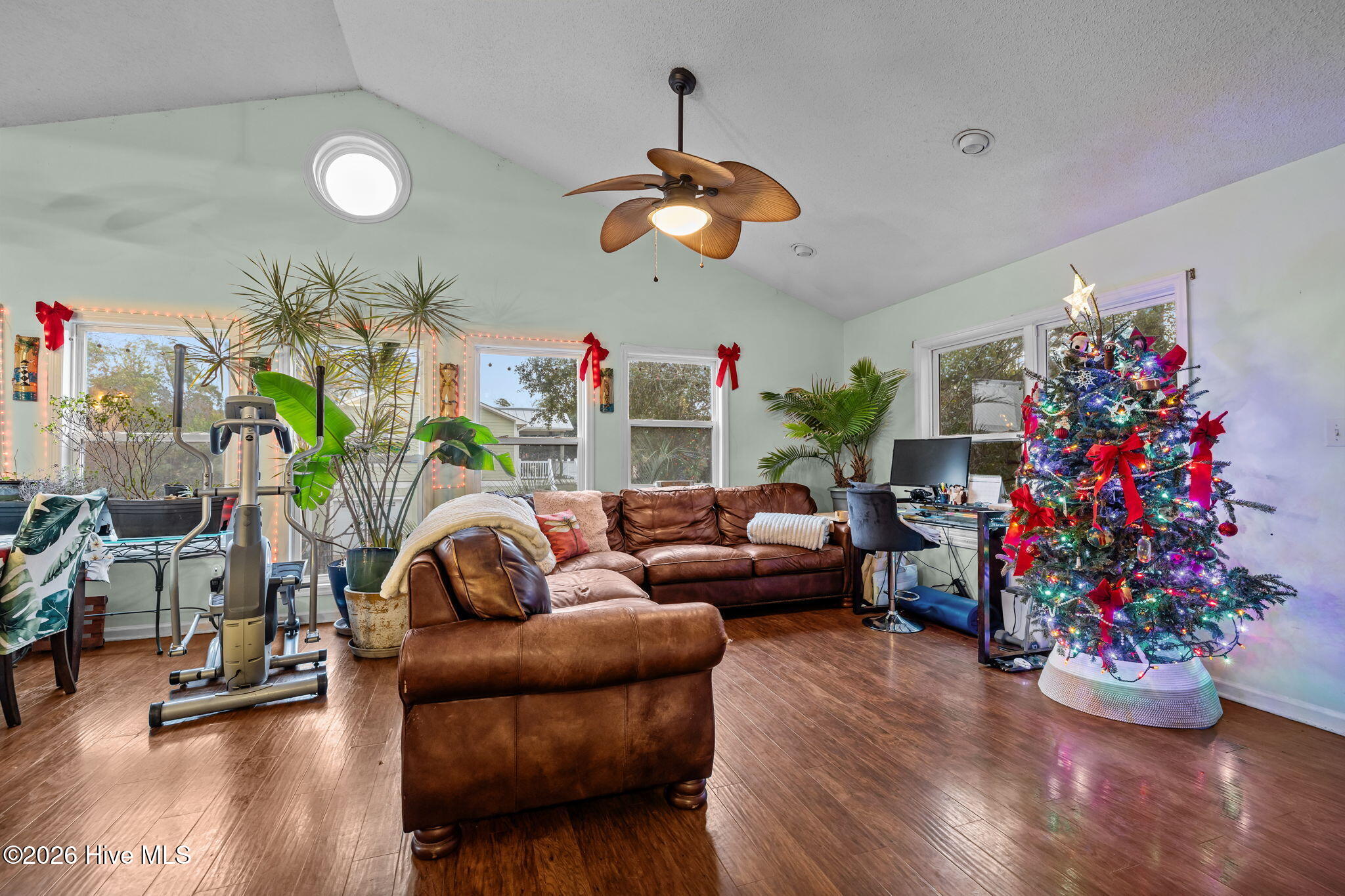 100545721 | Photo 15