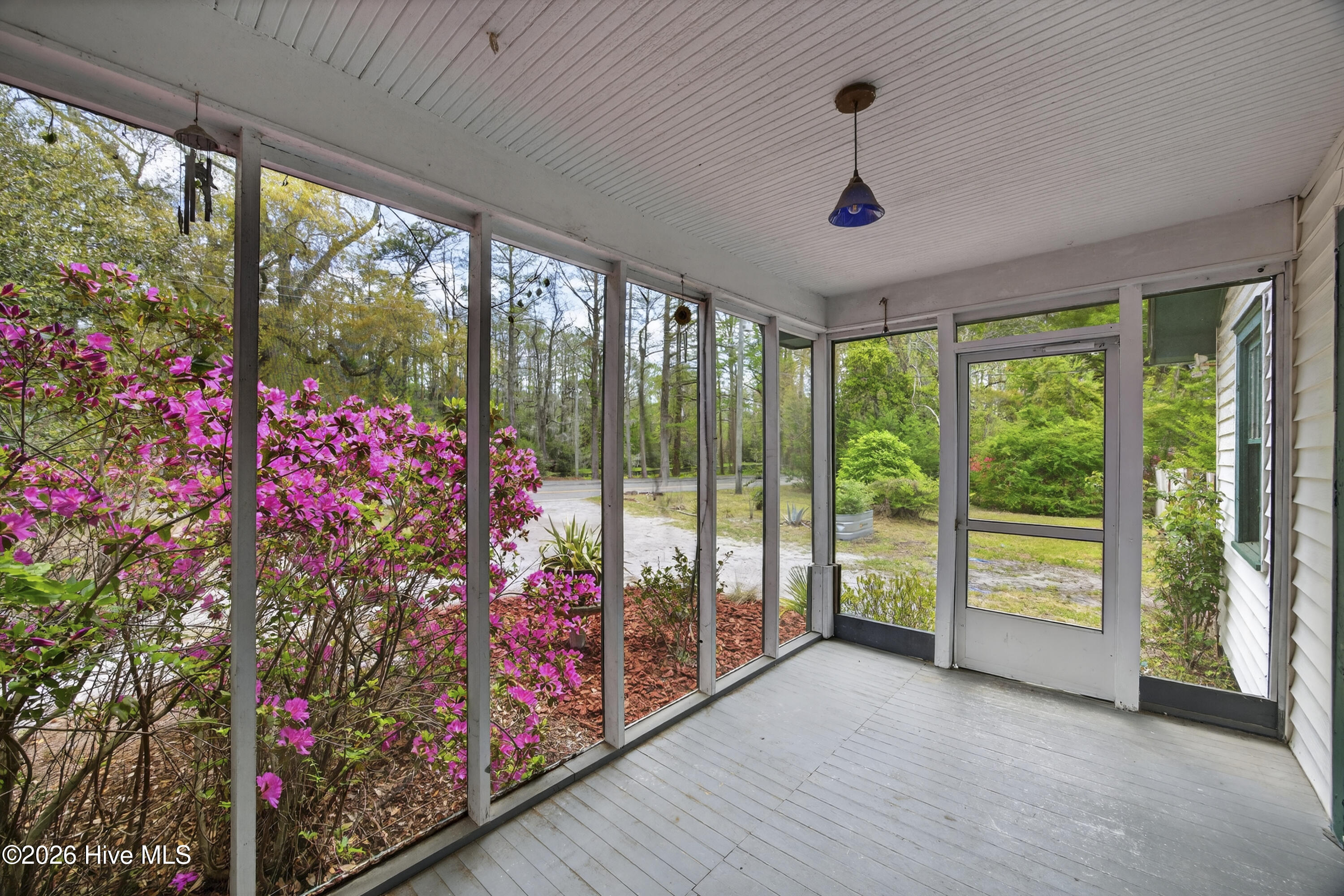 100564526 | Photo 10