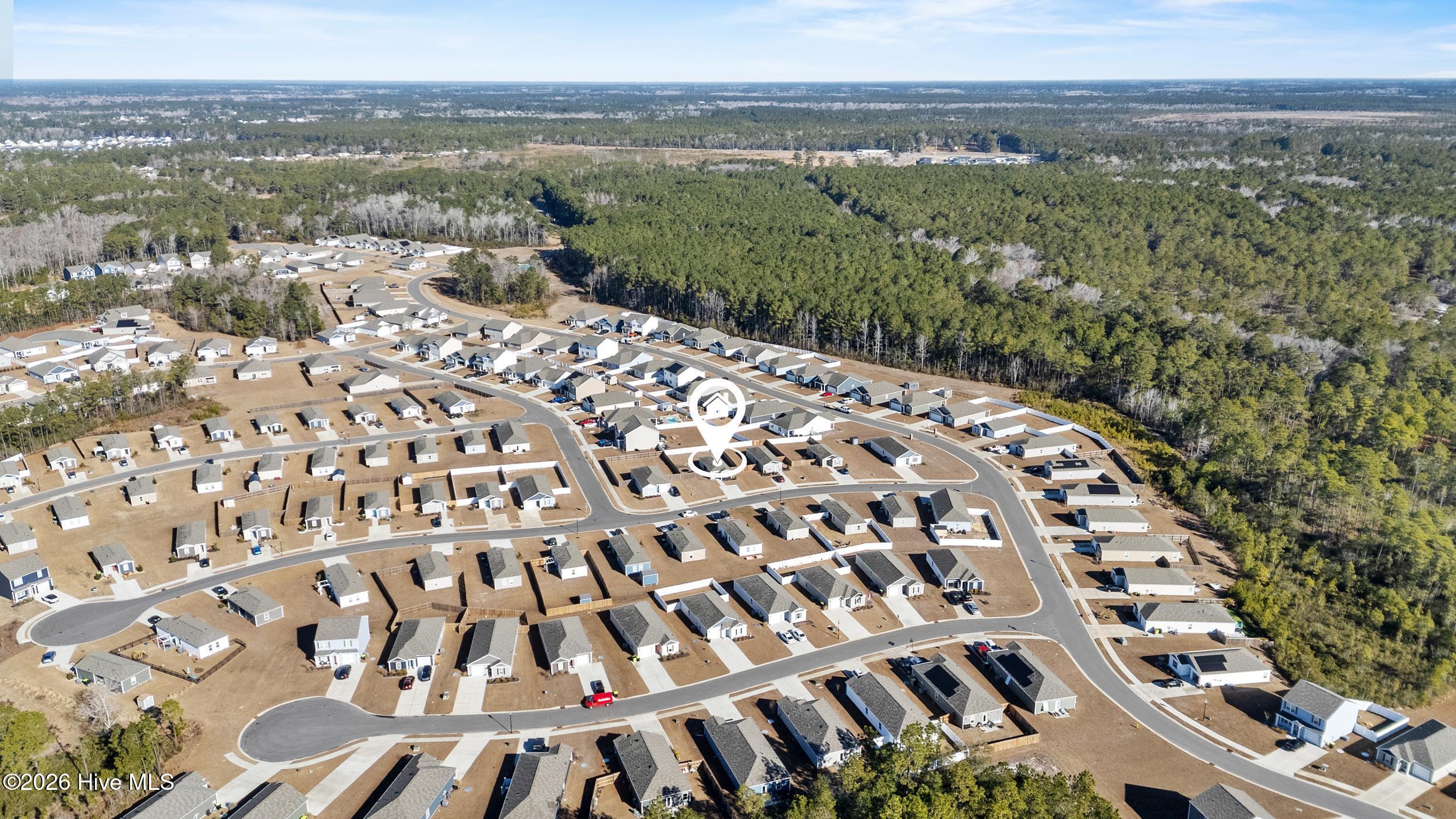 100555652 | Photo 59