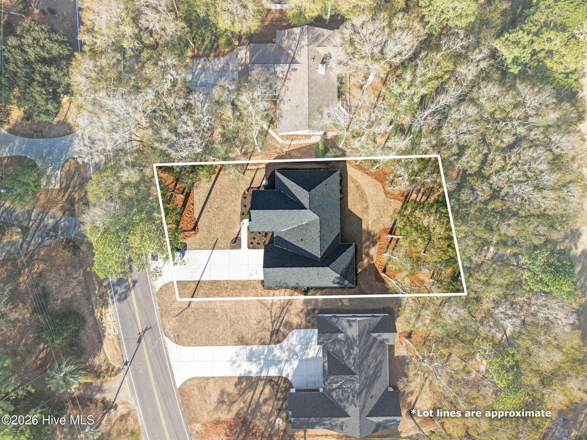 100558112 | Photo 57