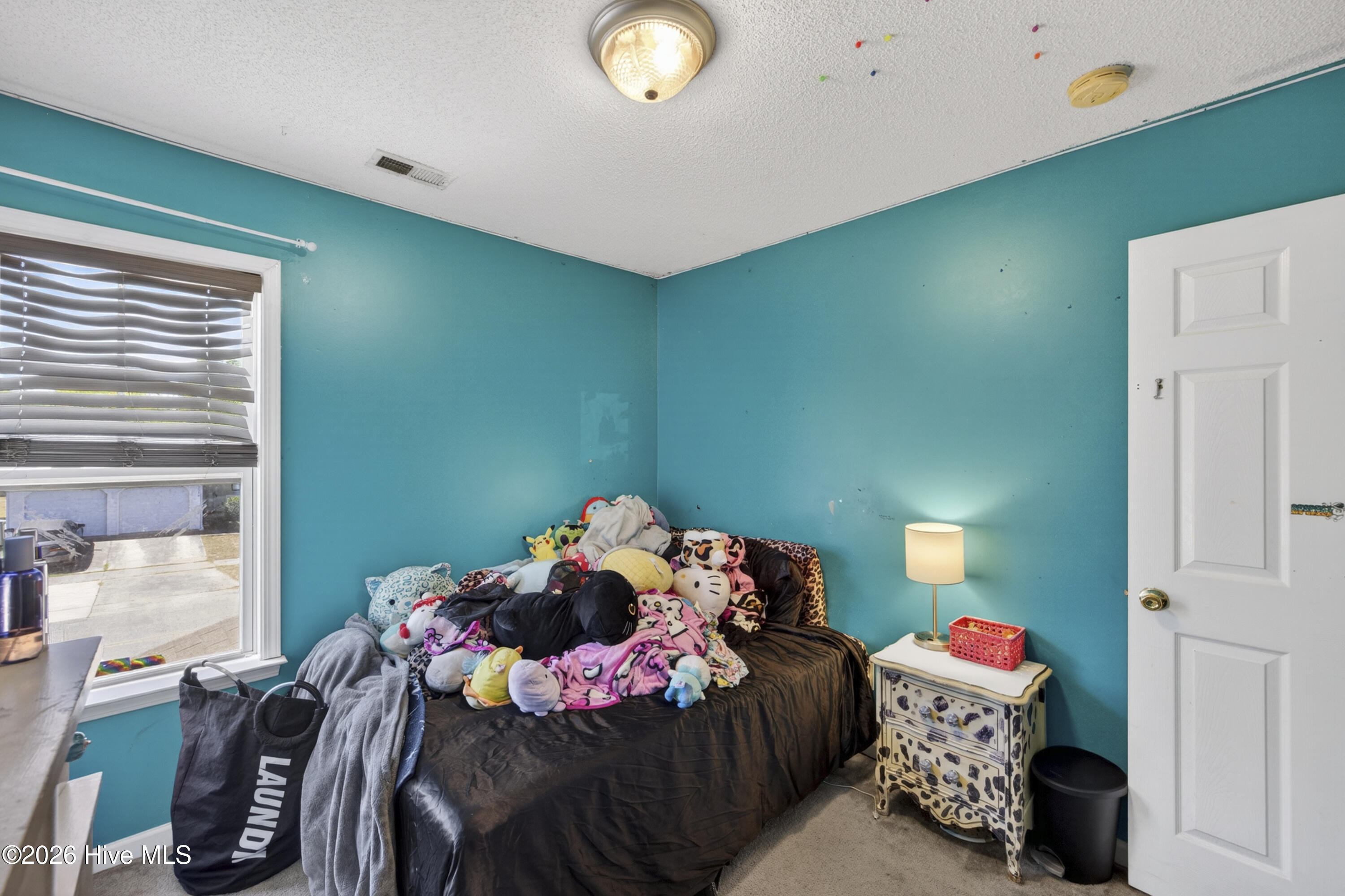 100567441 | Photo 46