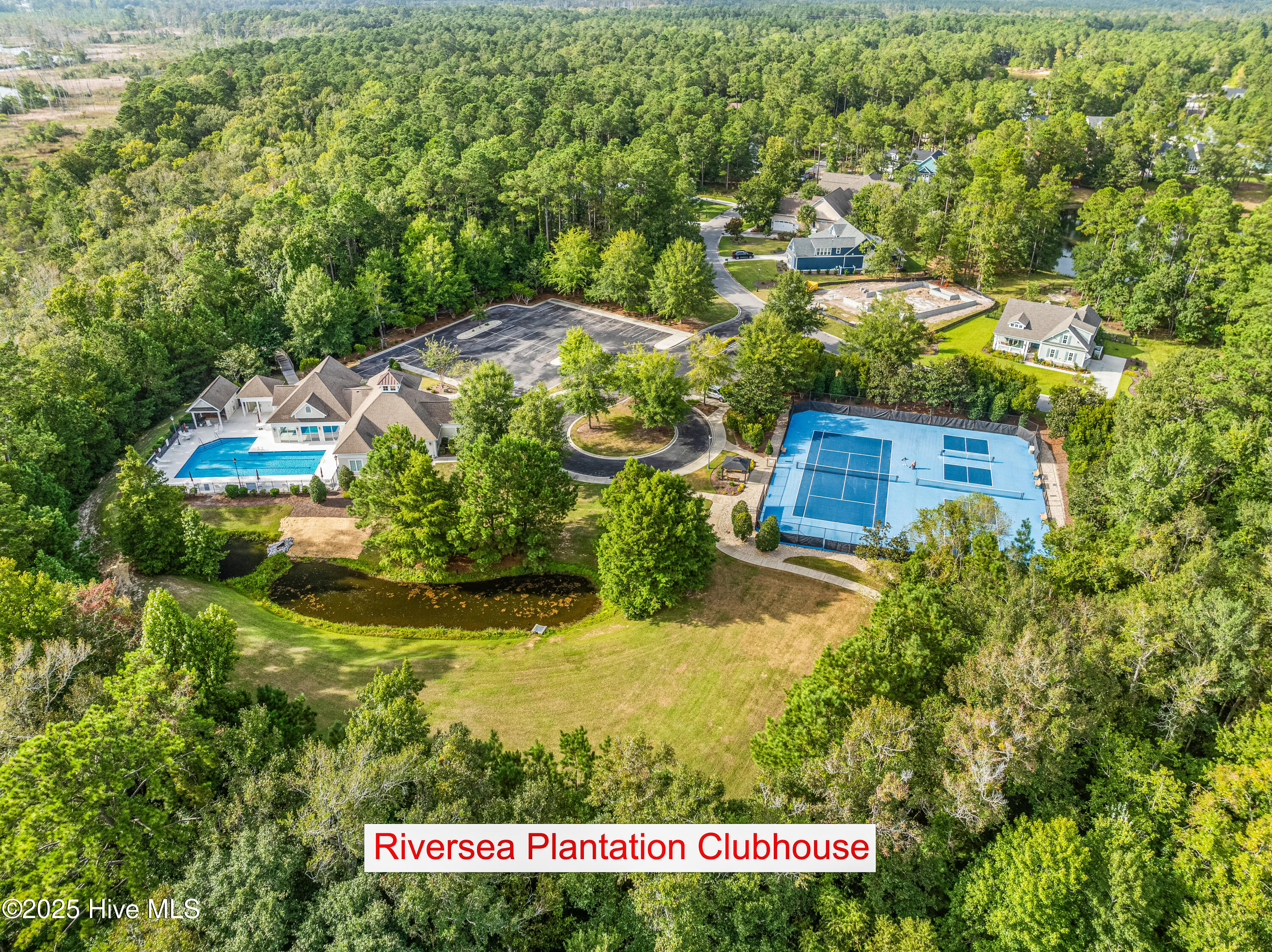 100532334 | Photo 64