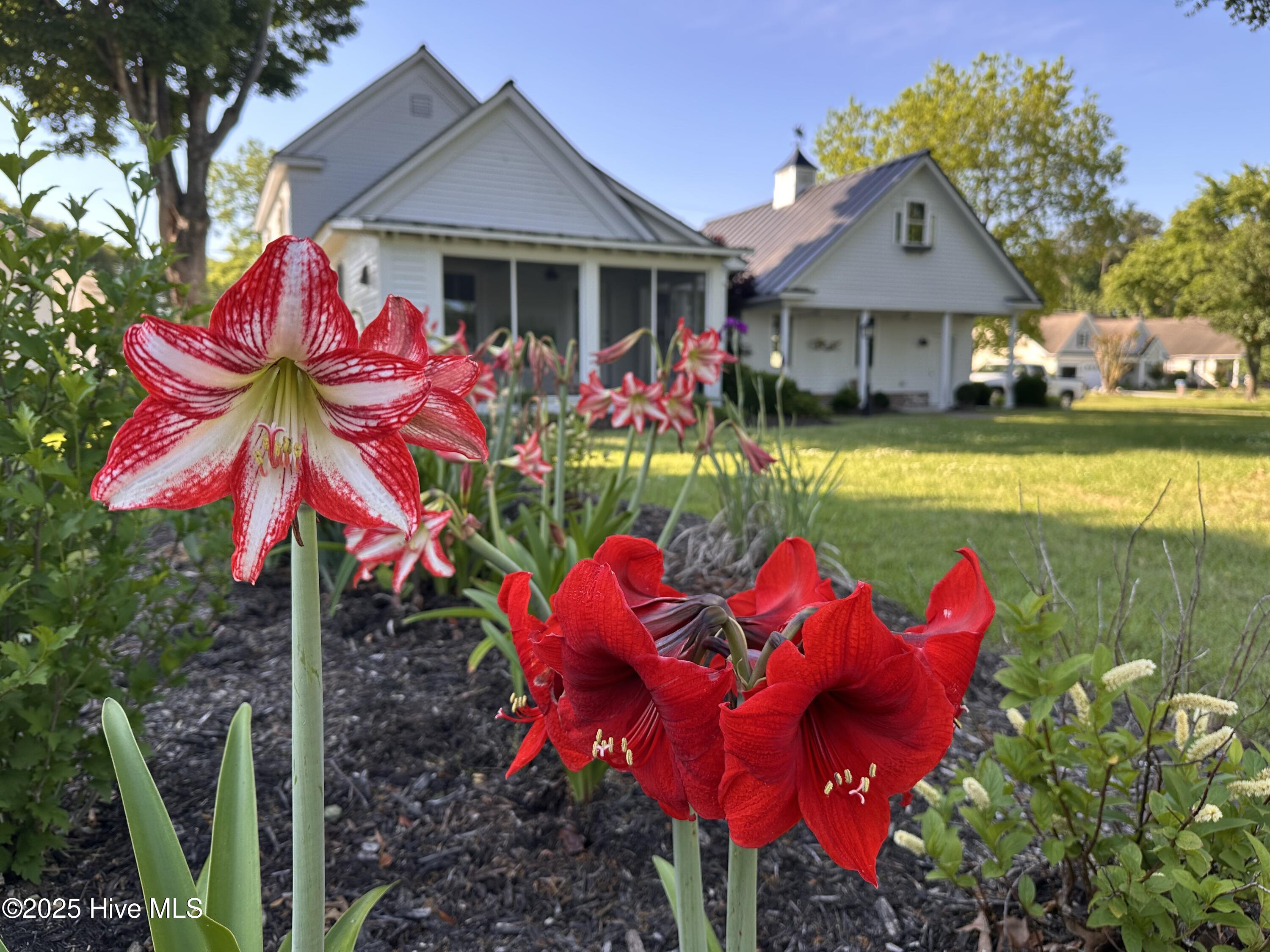 100502870 | Photo 59