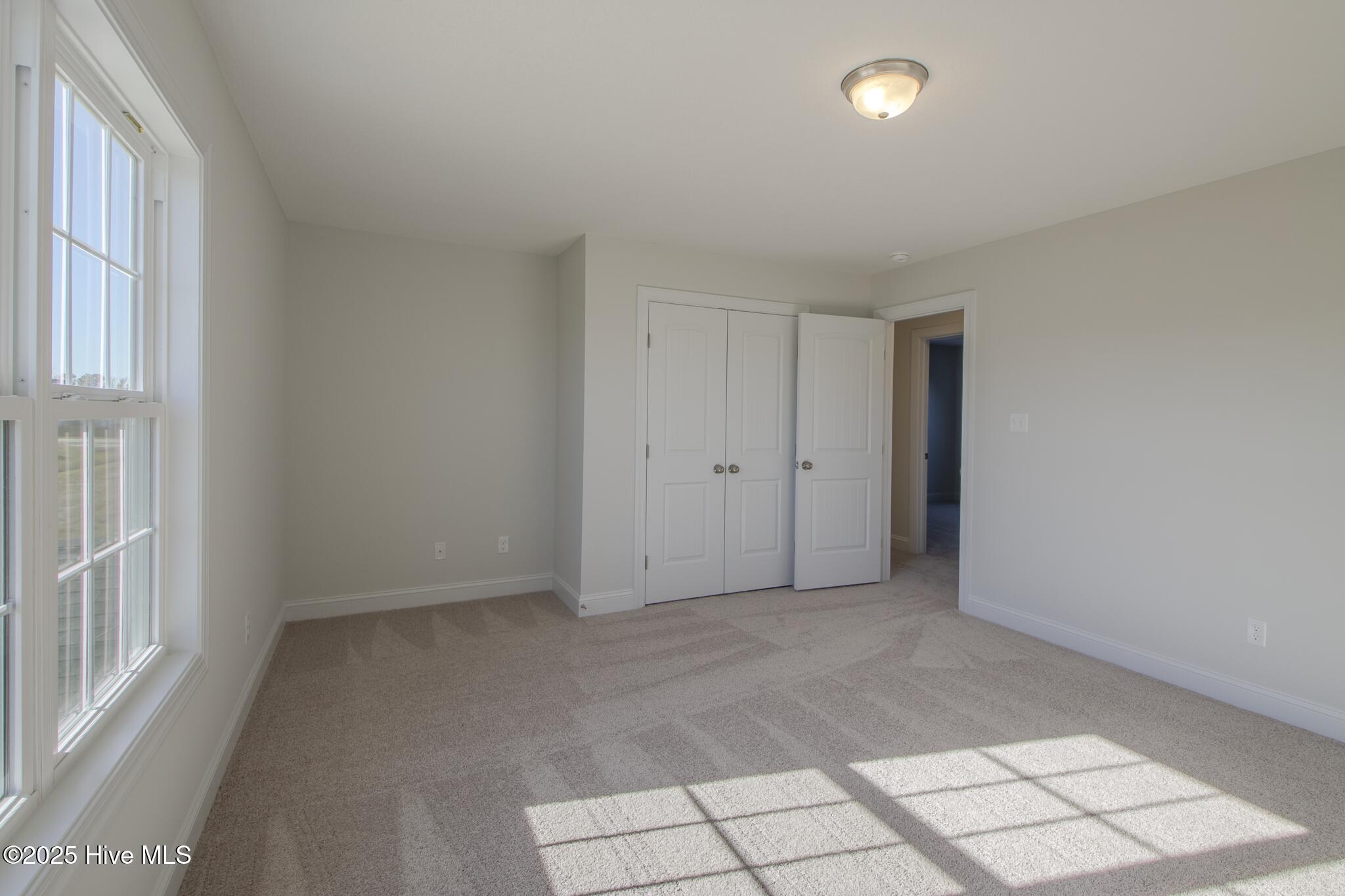 100504962 | Photo 28