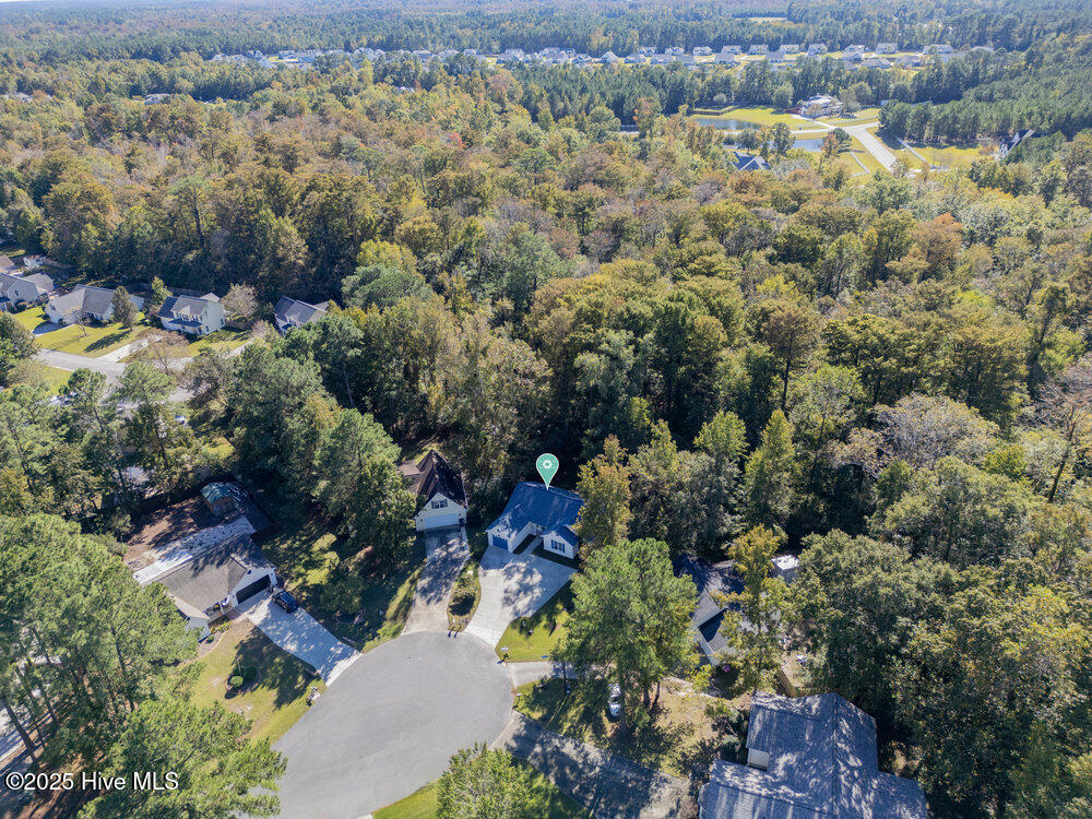 100537257 | Photo 30