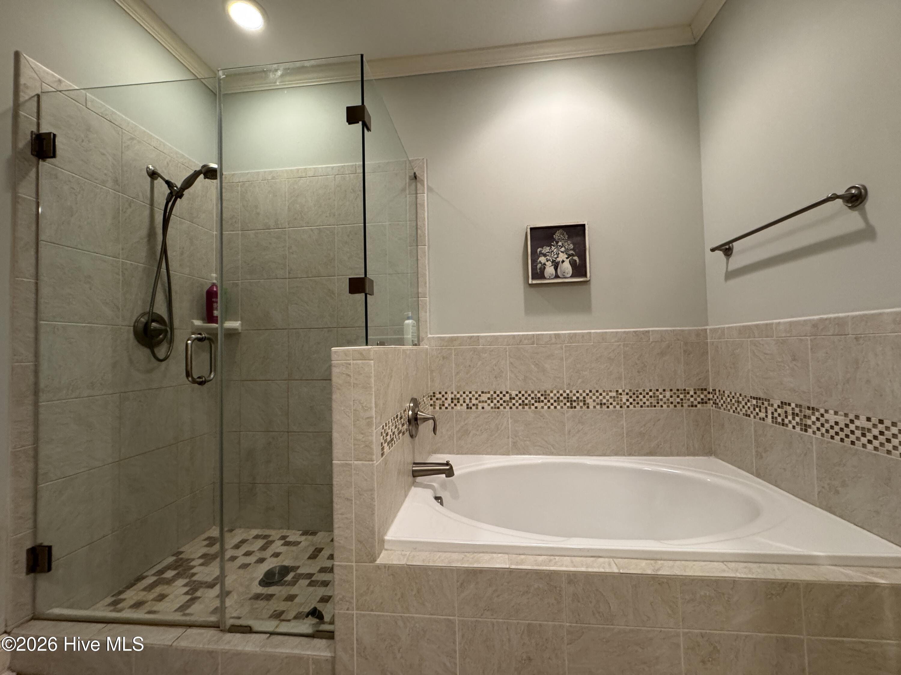 100556490 | Photo 13