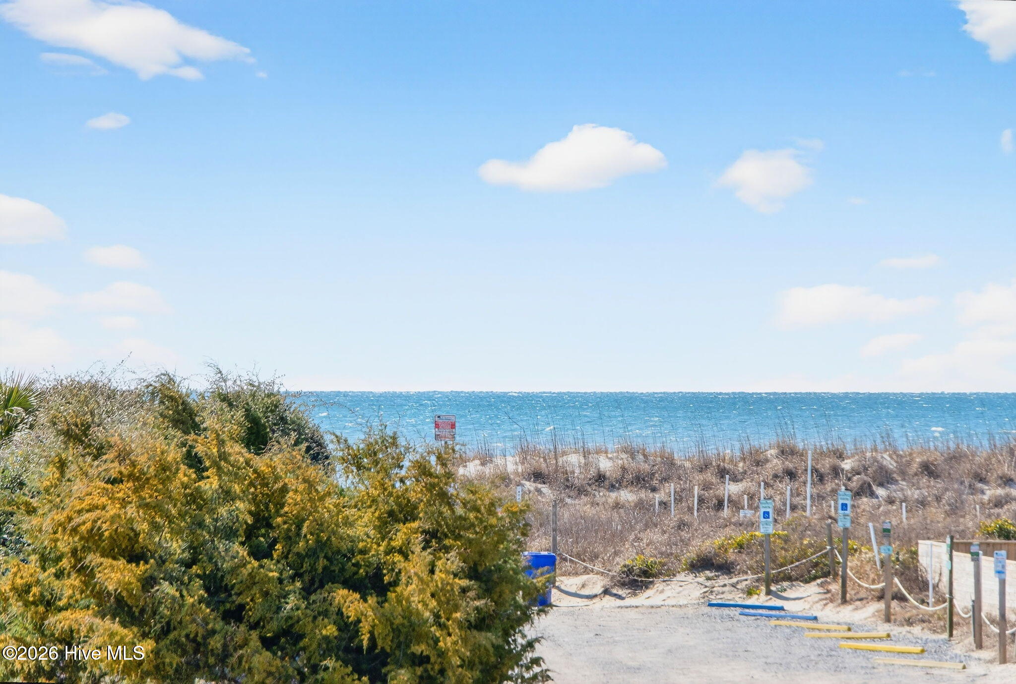 100556711 | Photo 46