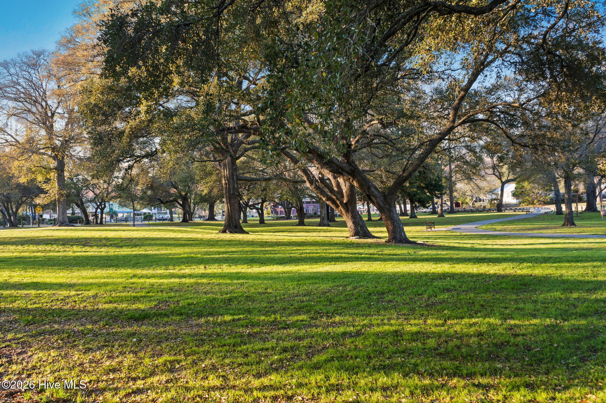 100566837 | Photo 27