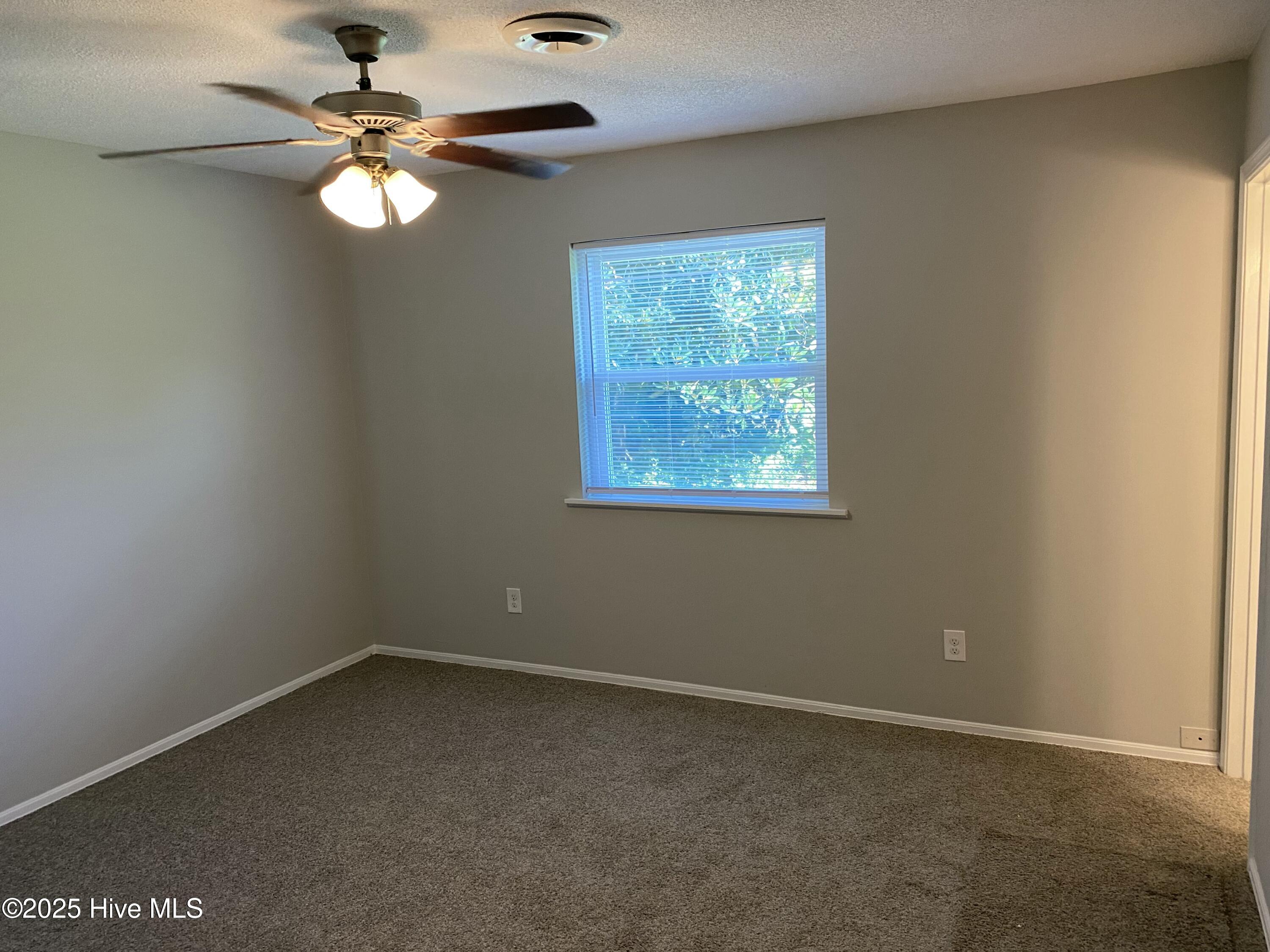 100557428 | Photo 14