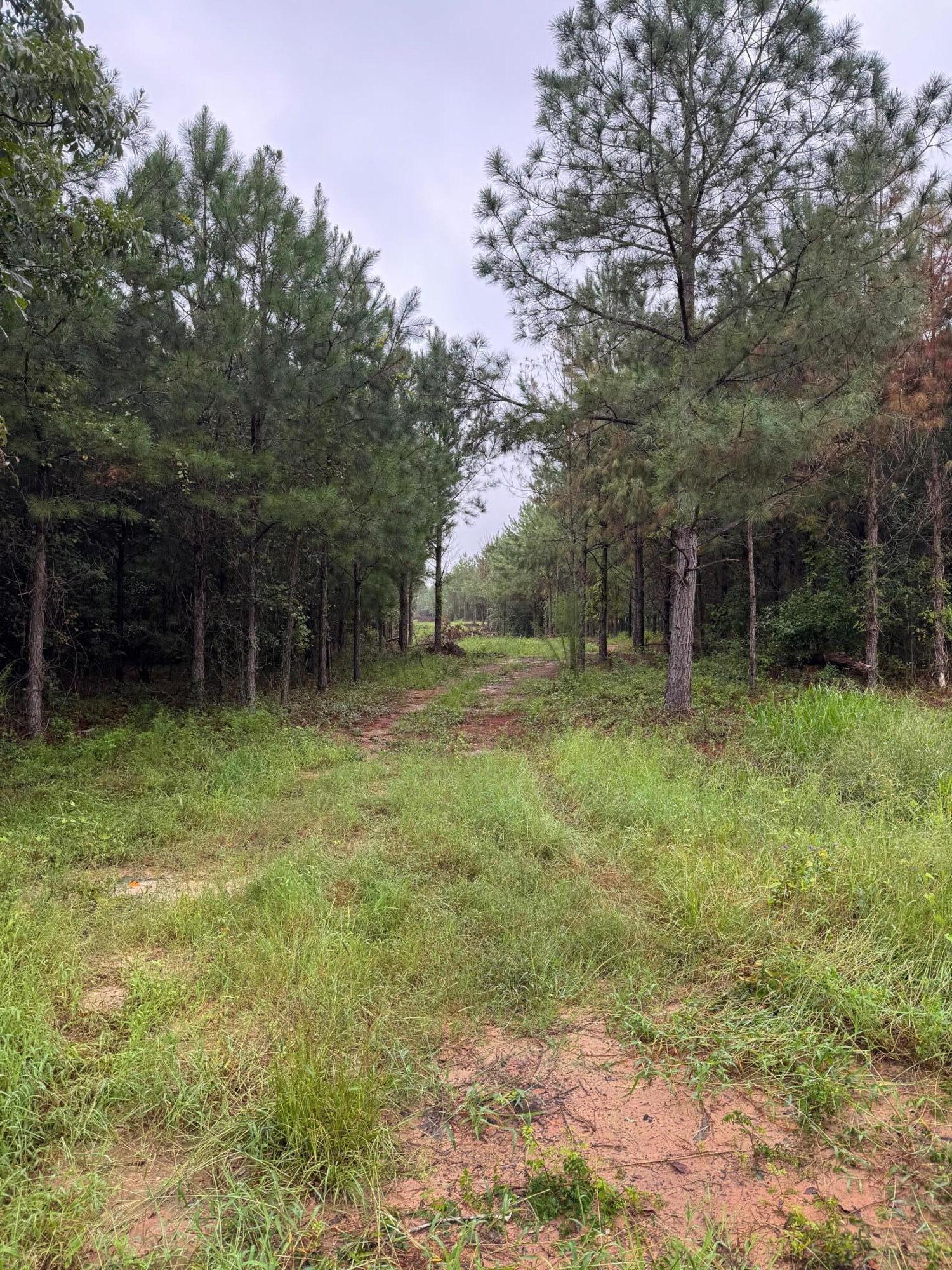 Highway 23, Waynesboro, GA 30830 Listing Photo  1