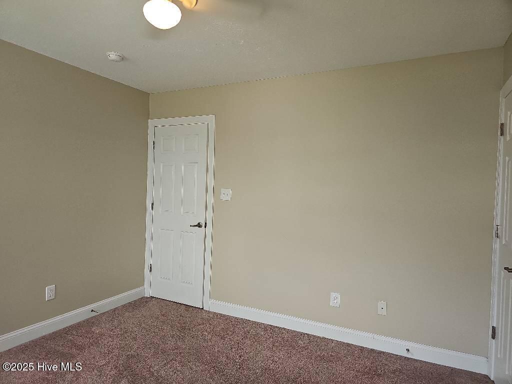 100541089 | Photo 18