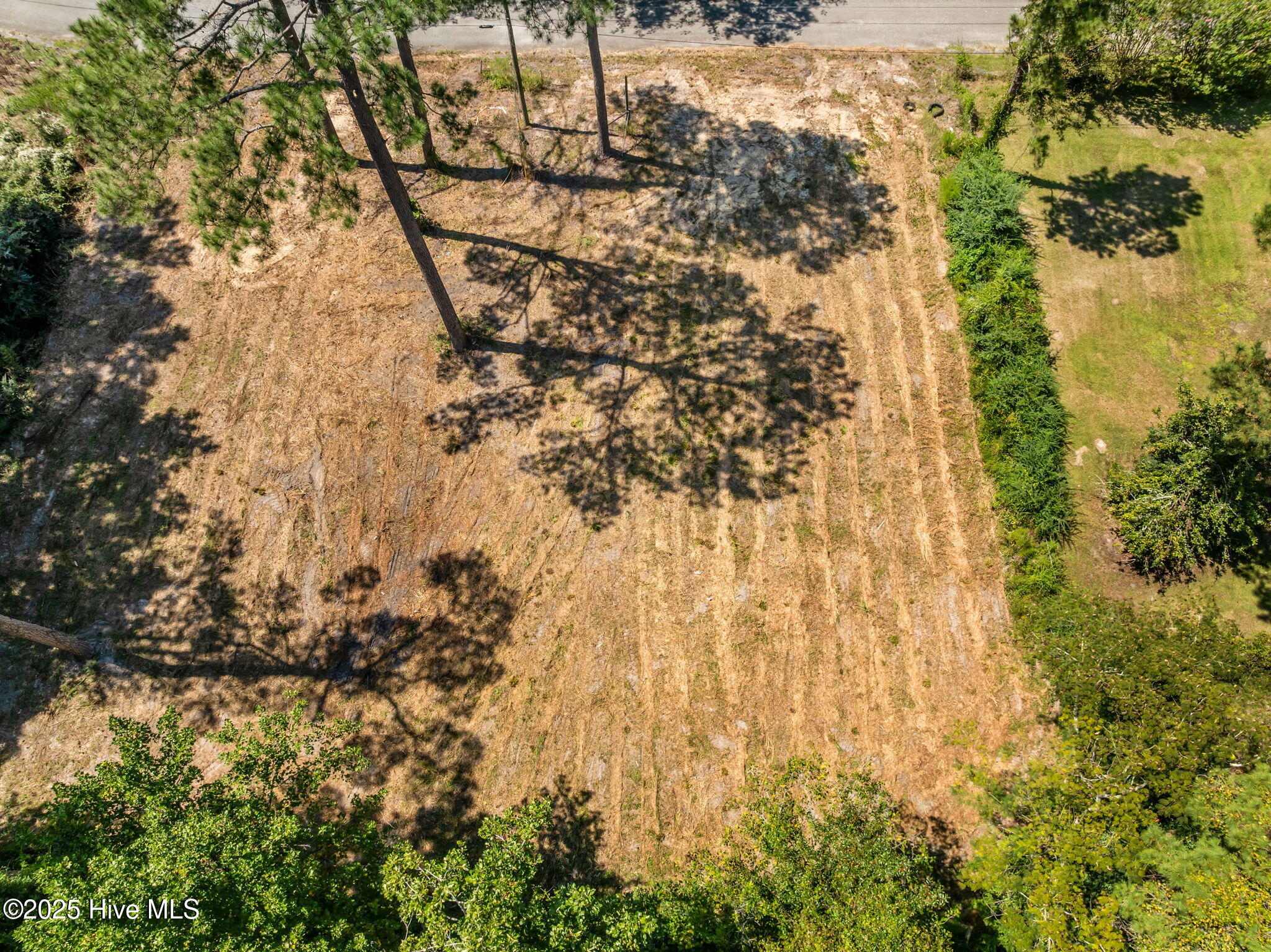 100546344 | Photo 12