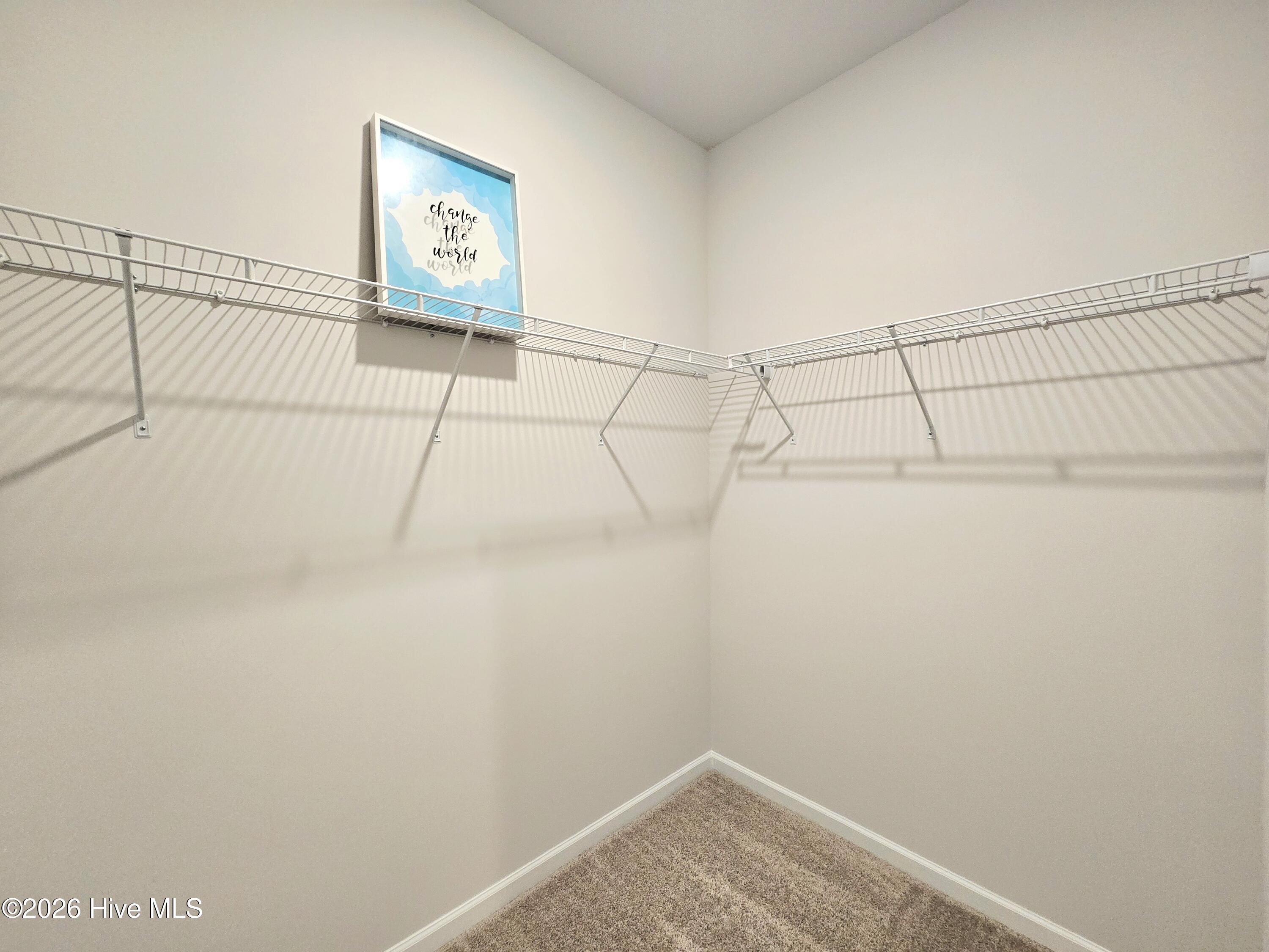 100556891 | Photo 10