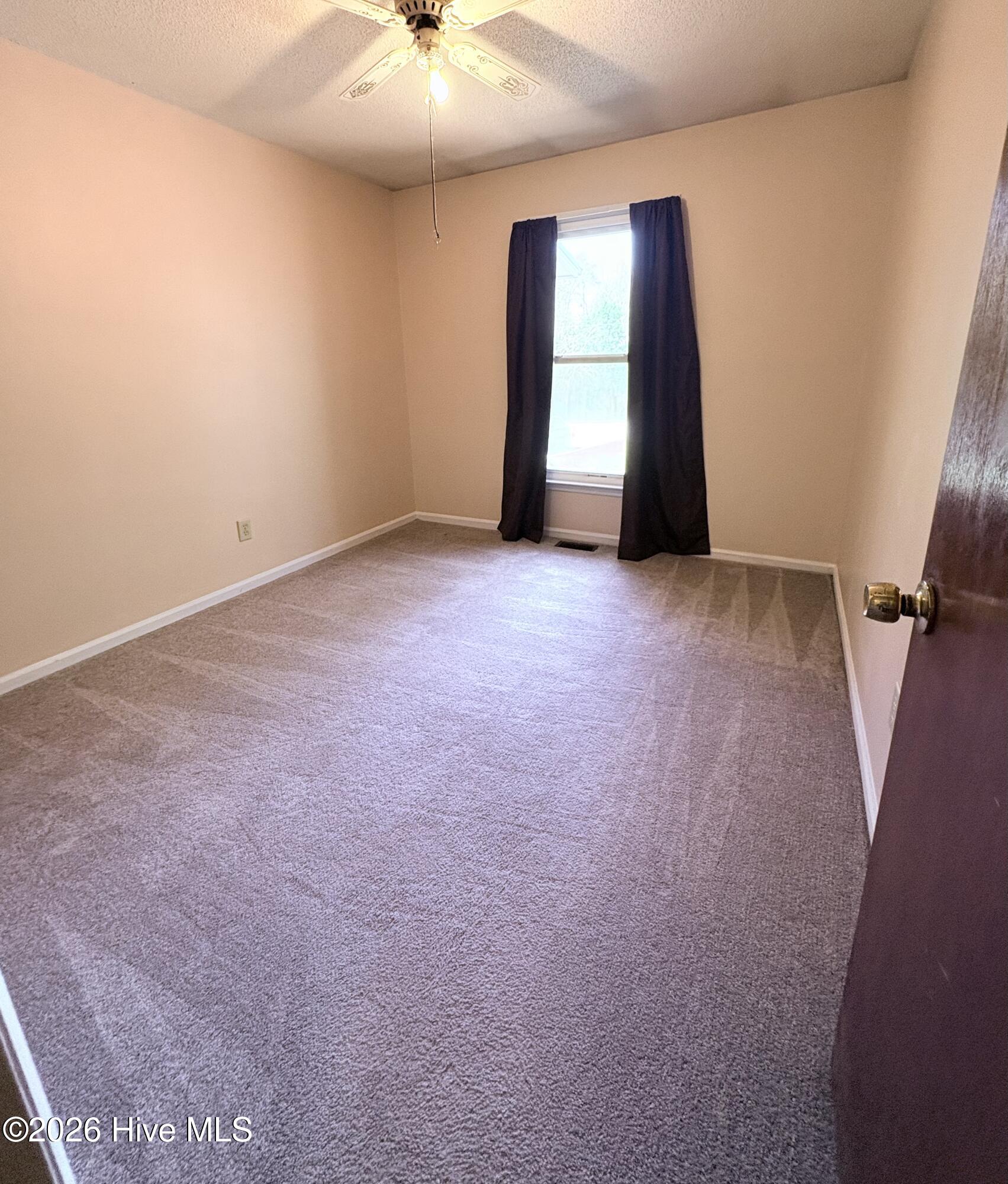 100562098 | Photo 13