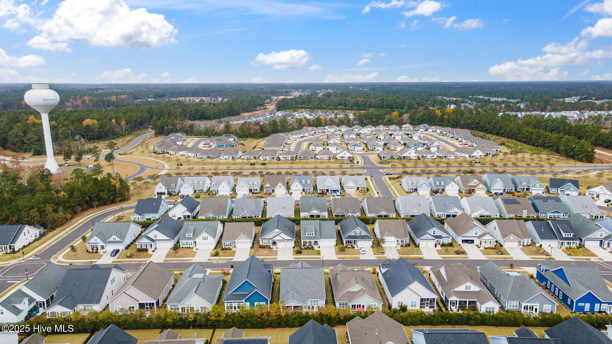 100541268 | Photo 49