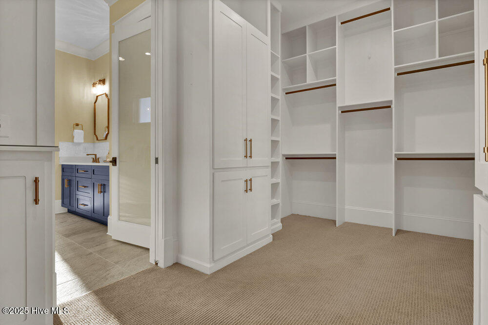 100537011 | Photo 39