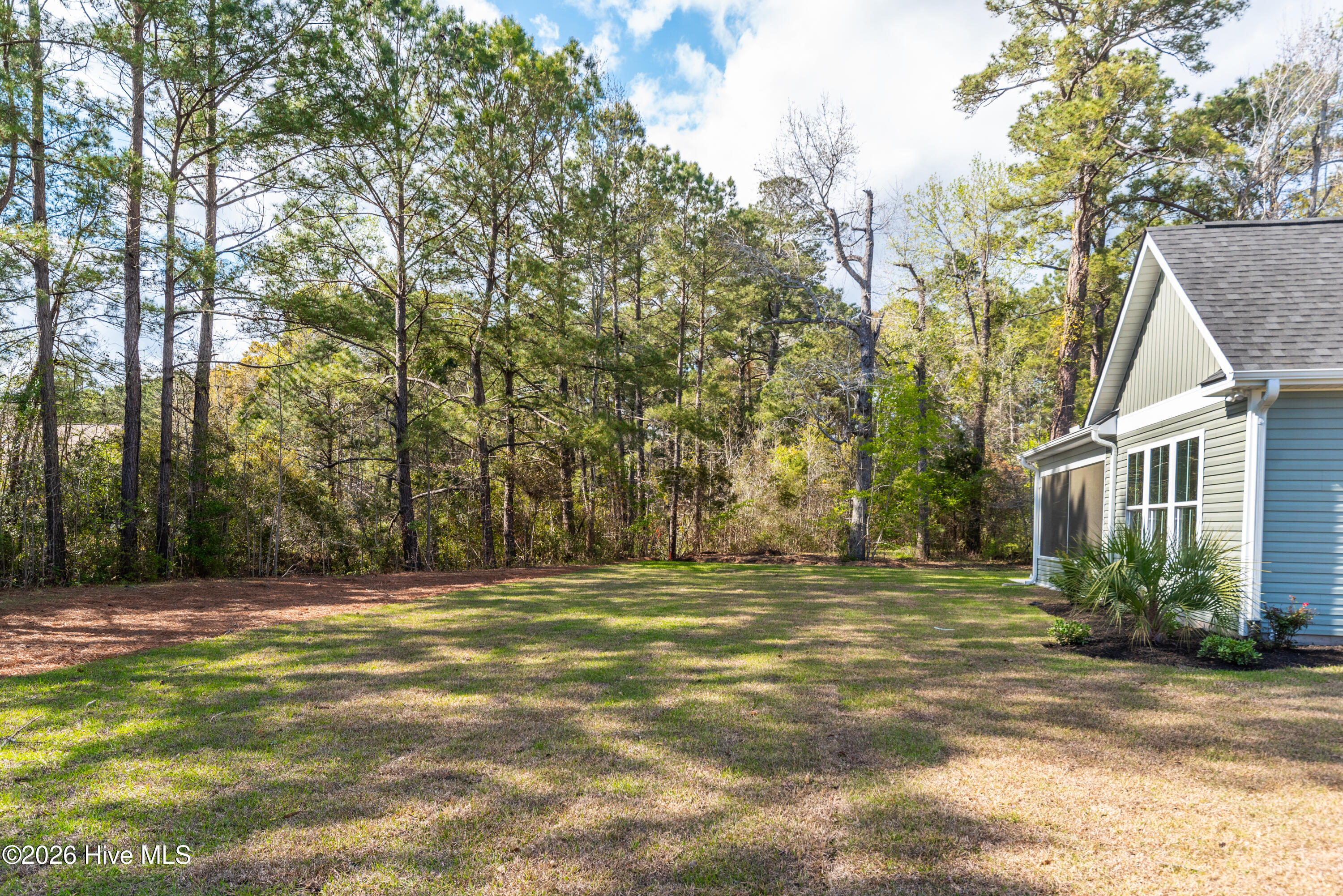 100563522 | Photo 58