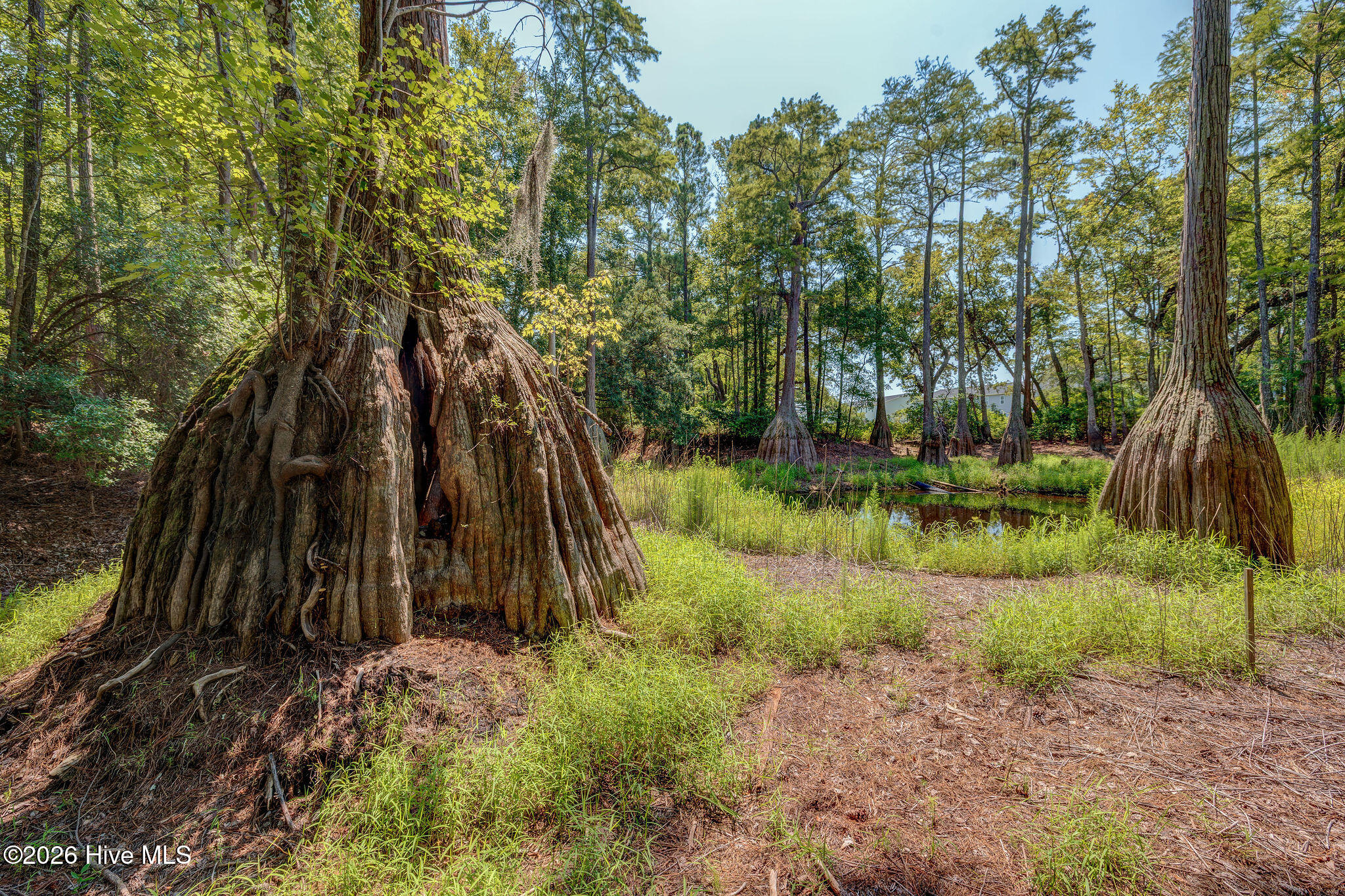 100558109 | Photo 70