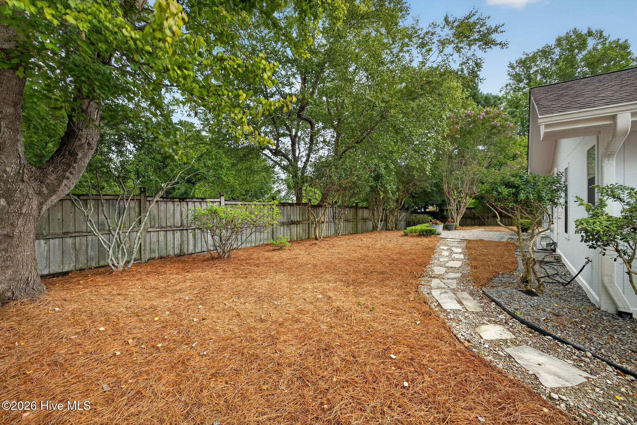 100589282 | Photo 19