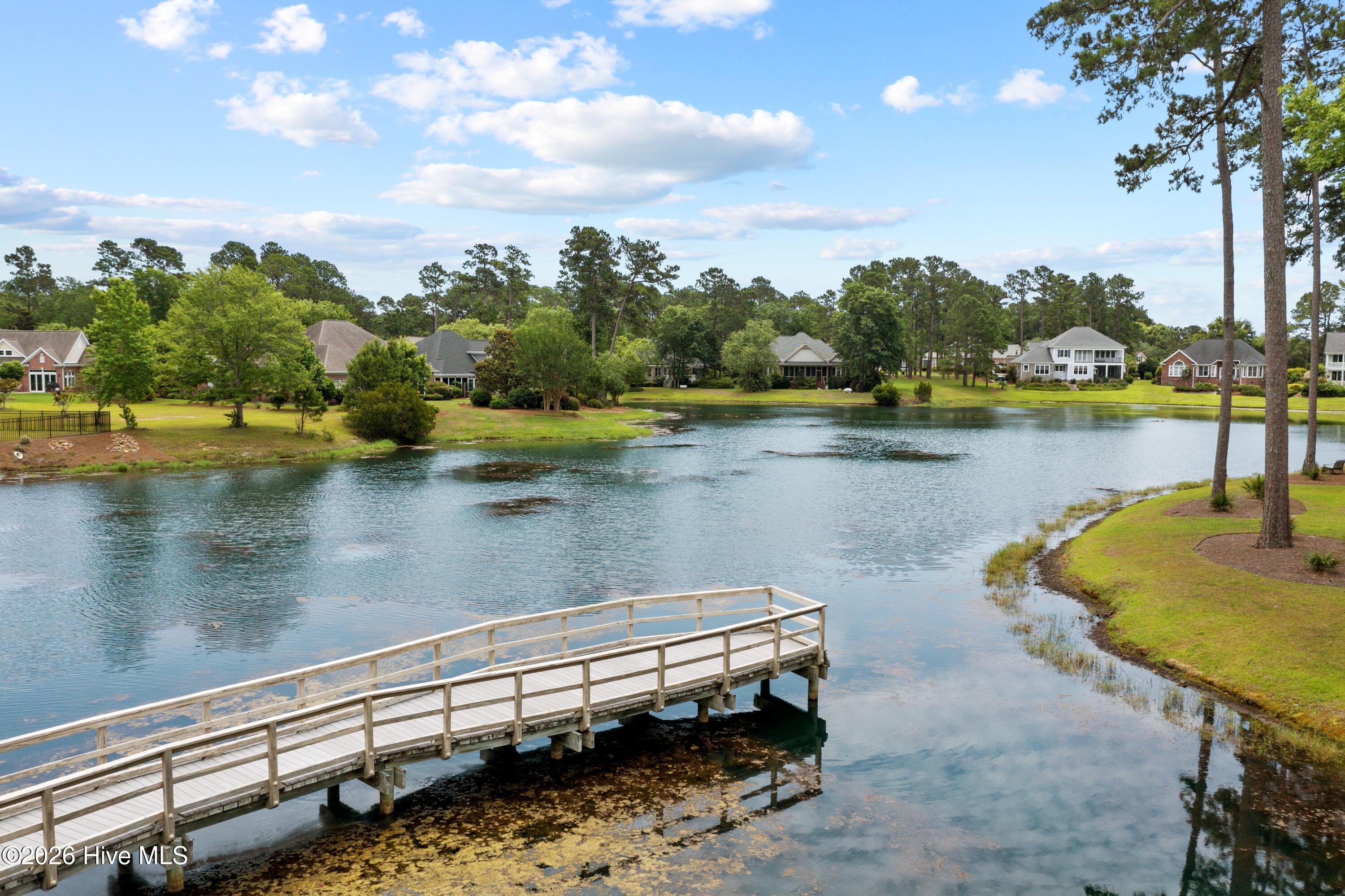 100555580 | Photo 16